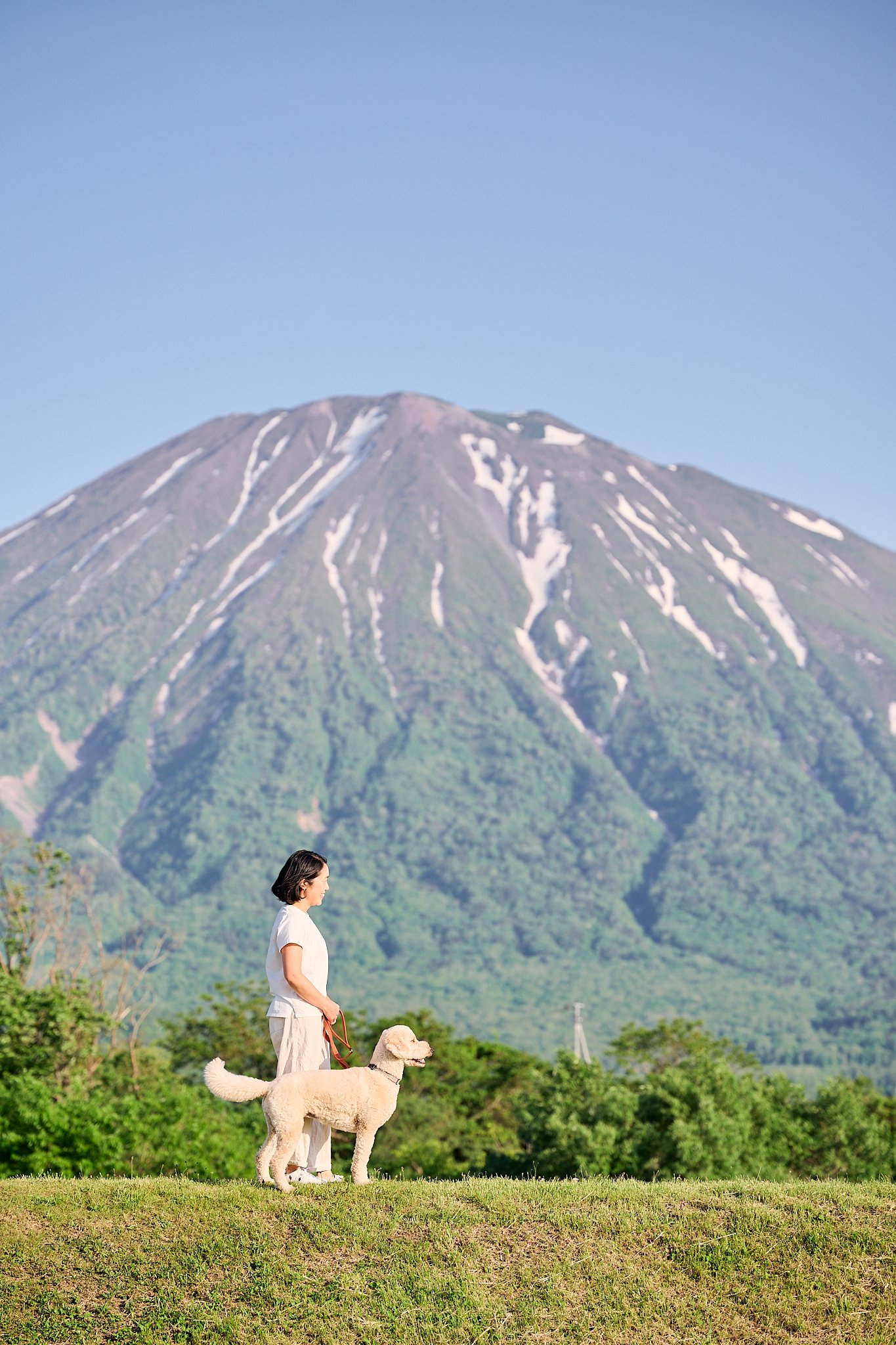 女性と犬が公園を散歩している様子。背景には雪の残る山が見える。