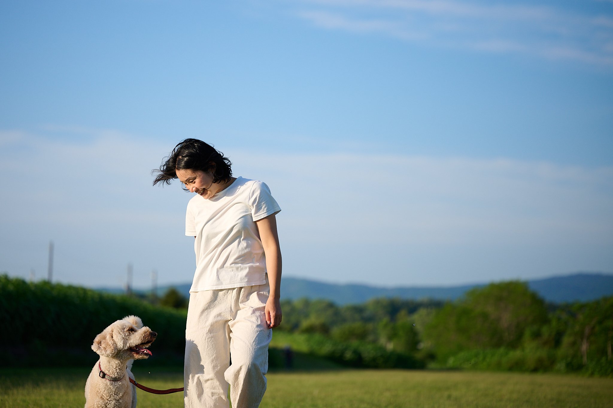 青空の下で人と犬が散歩を楽しんでいます。