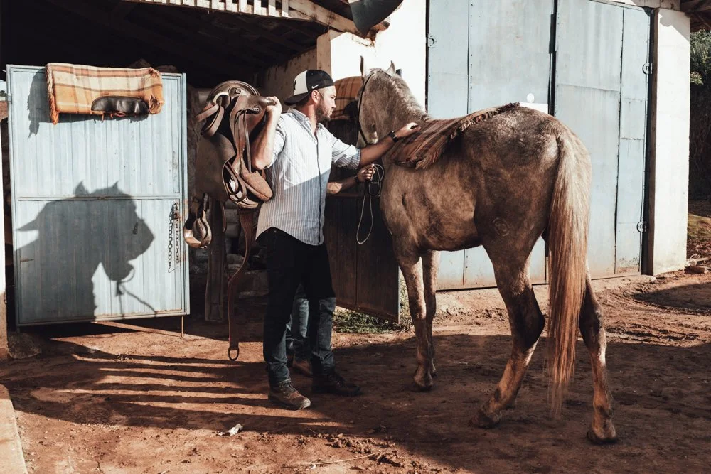 A man with a saddle over his shoulder unties a horse in a barnyard.