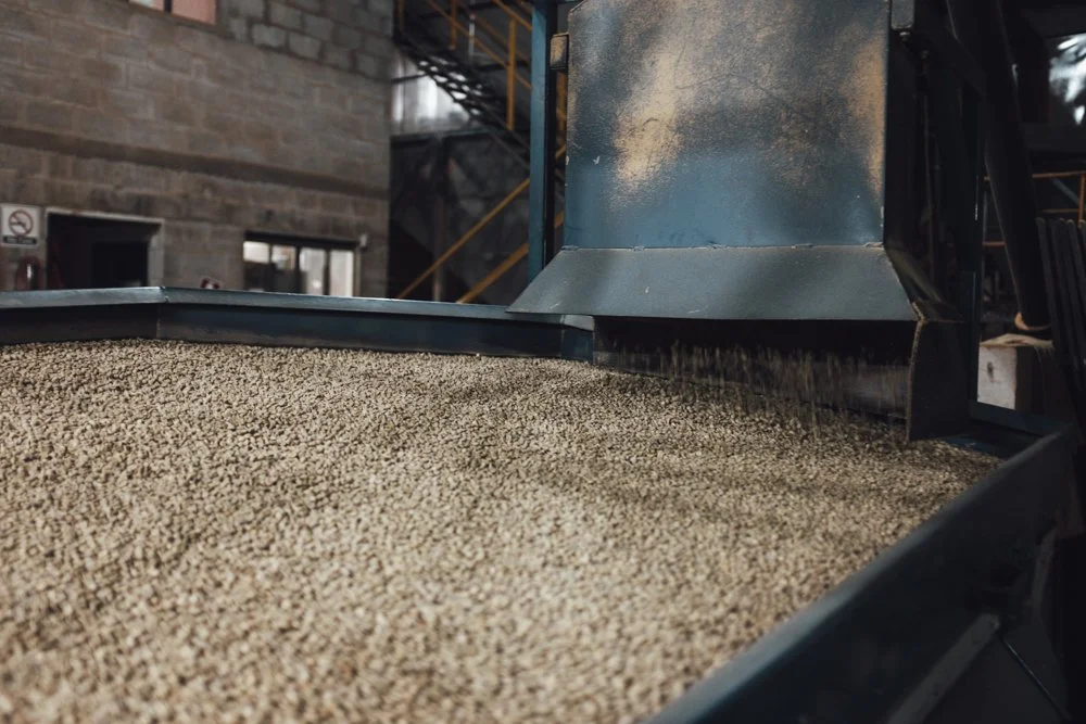 Close-up of grain or seed processing equipment with a conveyor belt filled with small grains inside a warehouse or factory.