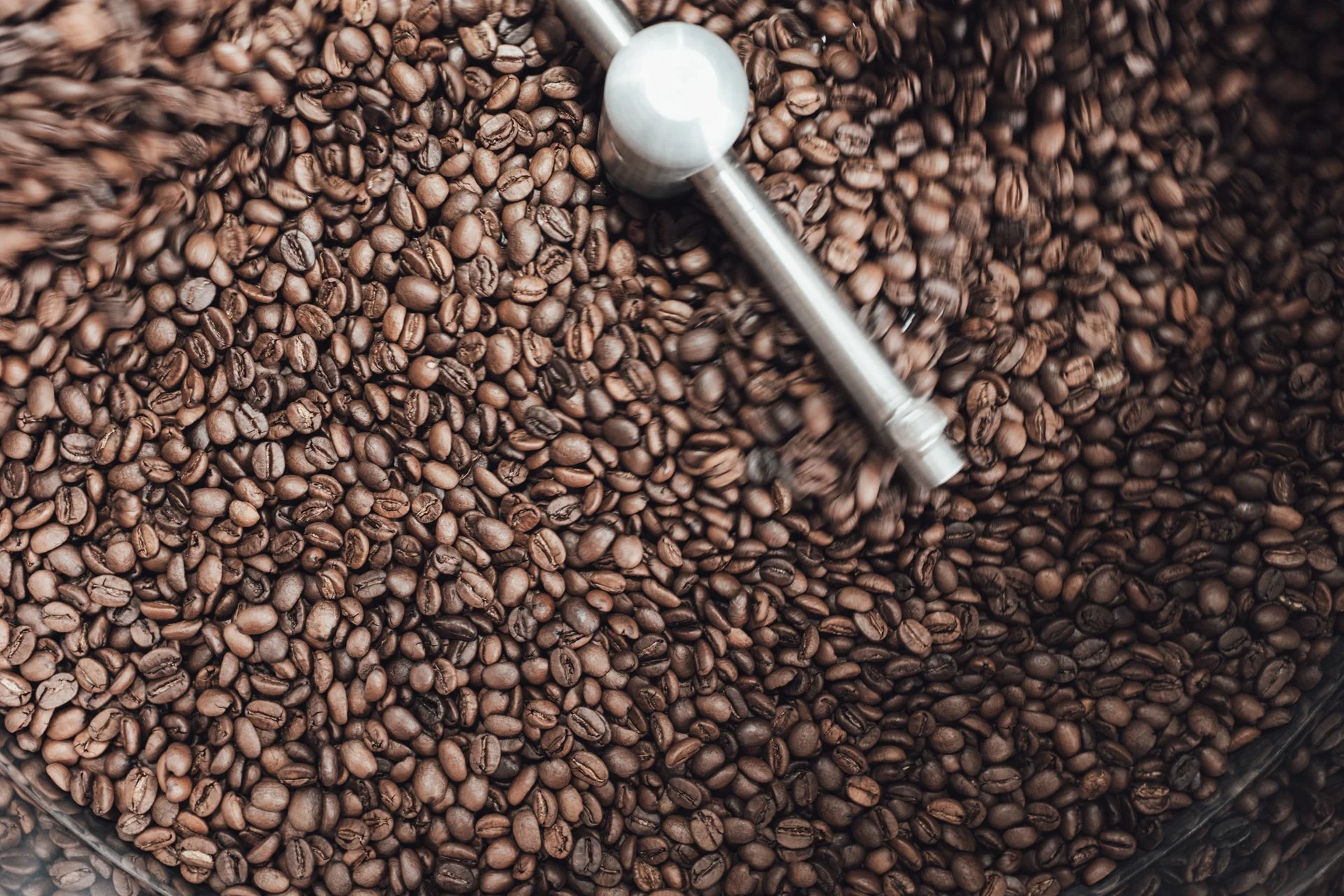 Close-up view of roasted coffee beans in a large container with a metal scoop resting among them.