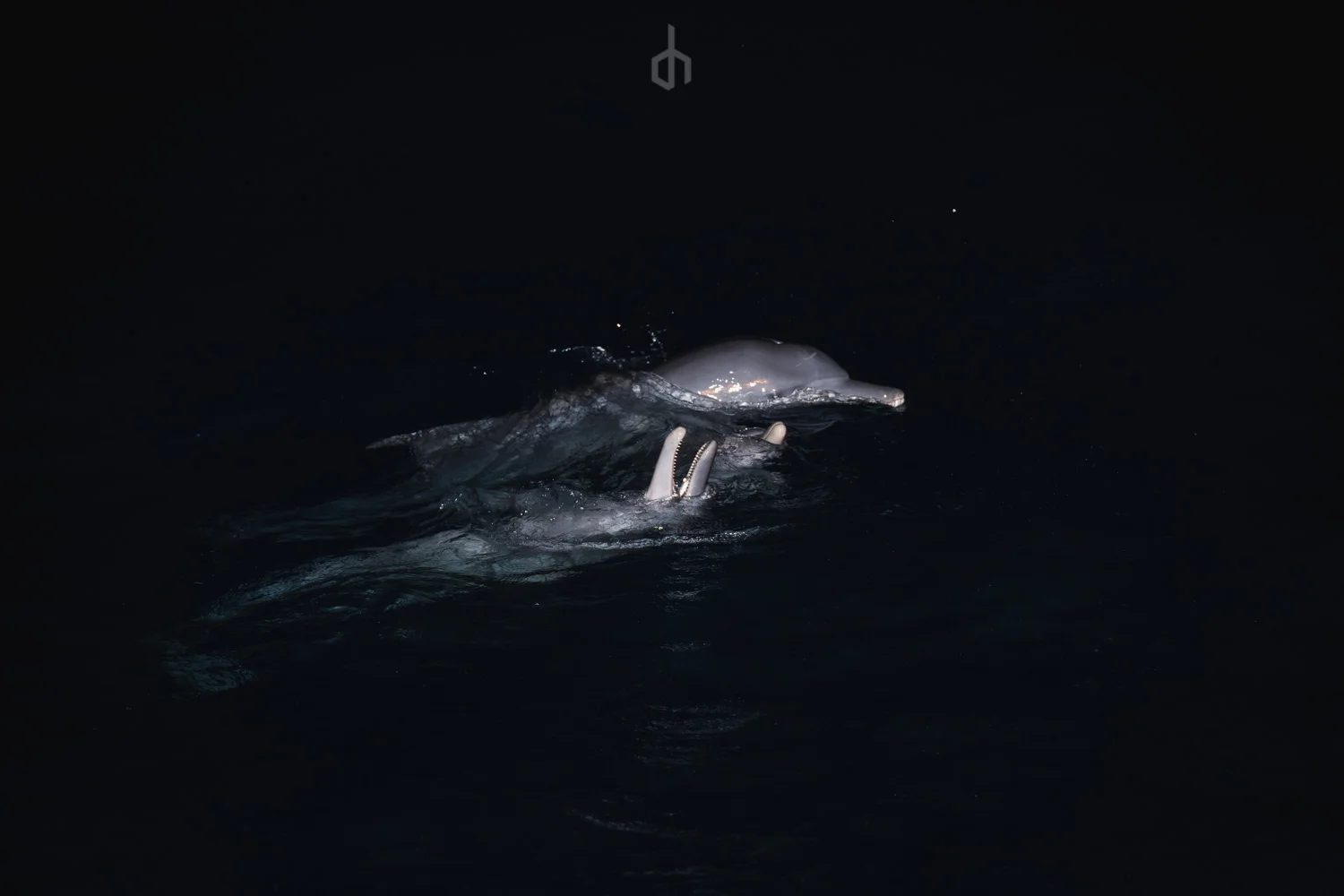 Play time (Copy)