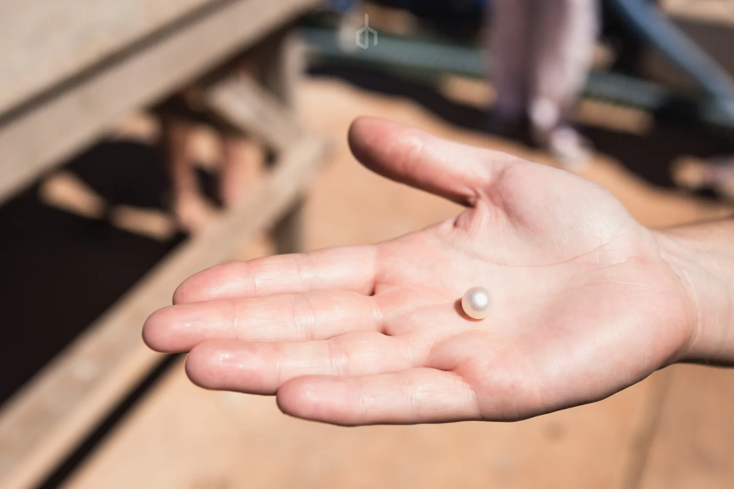Cultured Pearls (Copy)