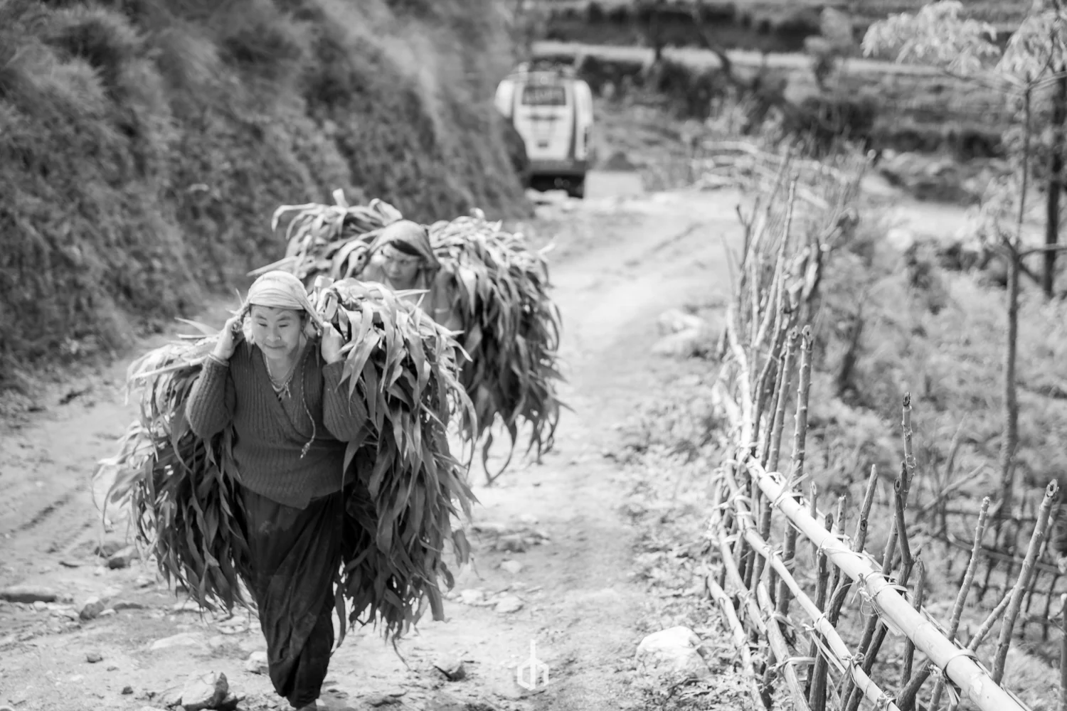 Two women walking along a rural dirt path, carrying large bundles of what appears to be dried leaves or crops on their backs, with a train in the background.