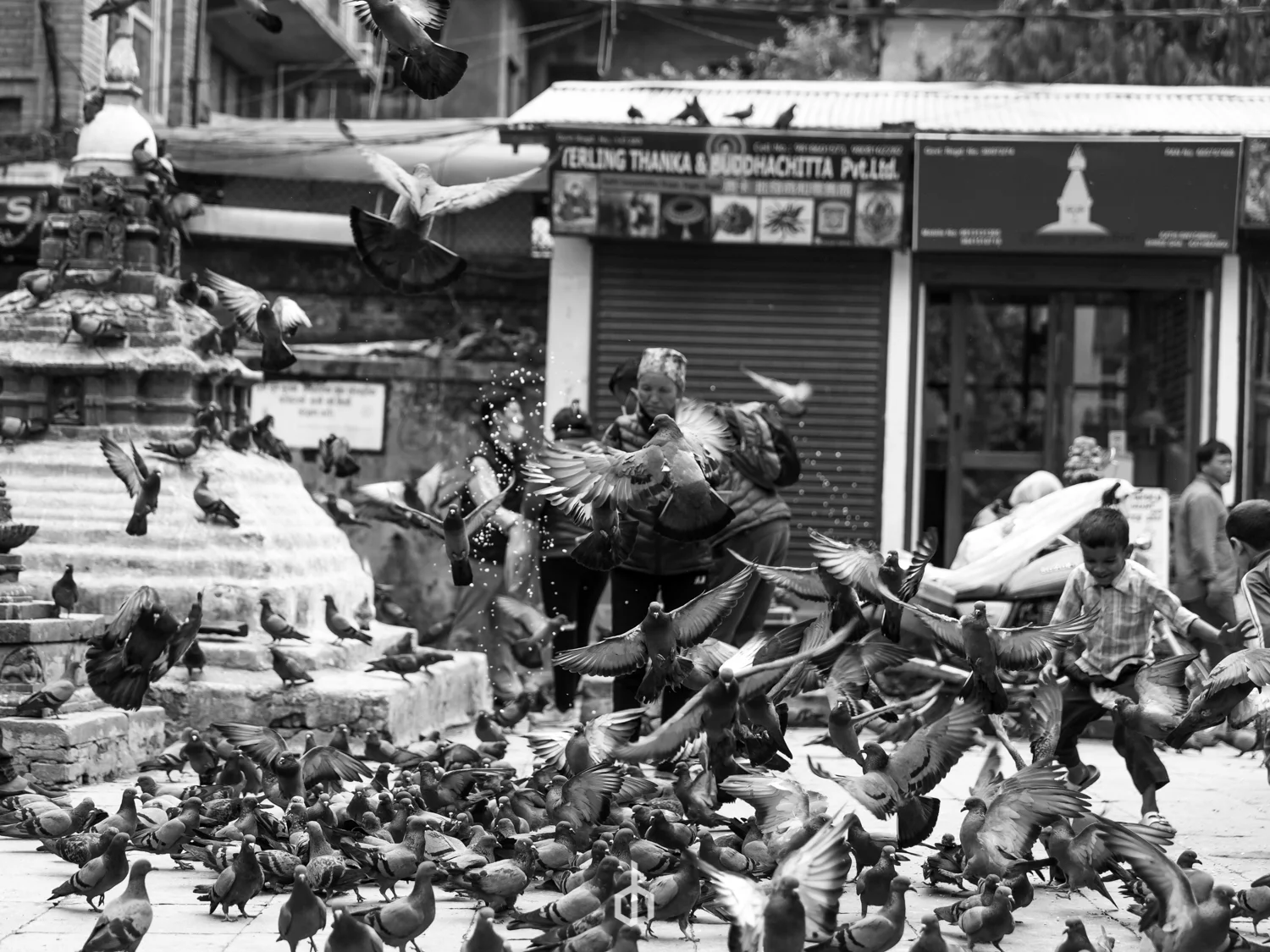 People feeding pigeons on a street in a city, with numerous birds flying and gathered on the ground, some in motion and others perched on ledges.