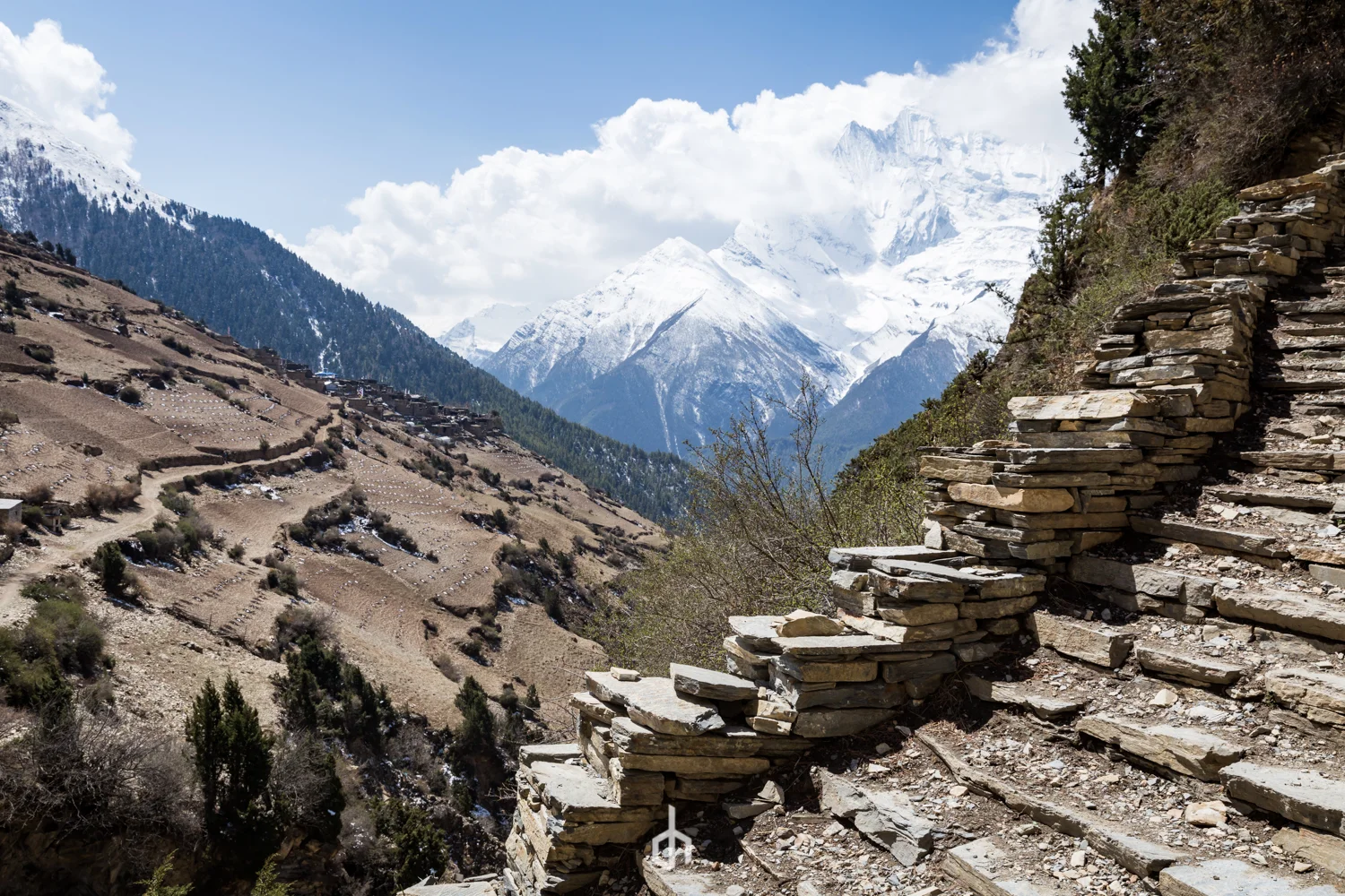 Stone steps on a mountainside overlooking terraced fields and snow-capped mountains in the distance.
