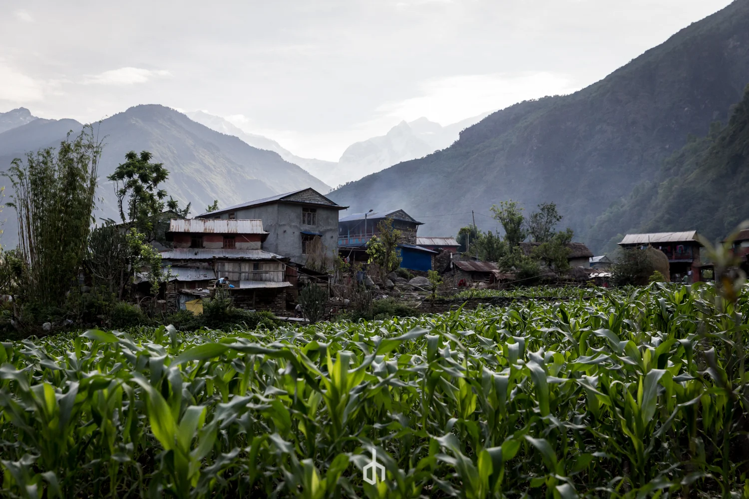 A rural hillside scene featuring a small cluster of houses surrounded by lush green vegetation, with mountains in the background and a cloudy sky above.