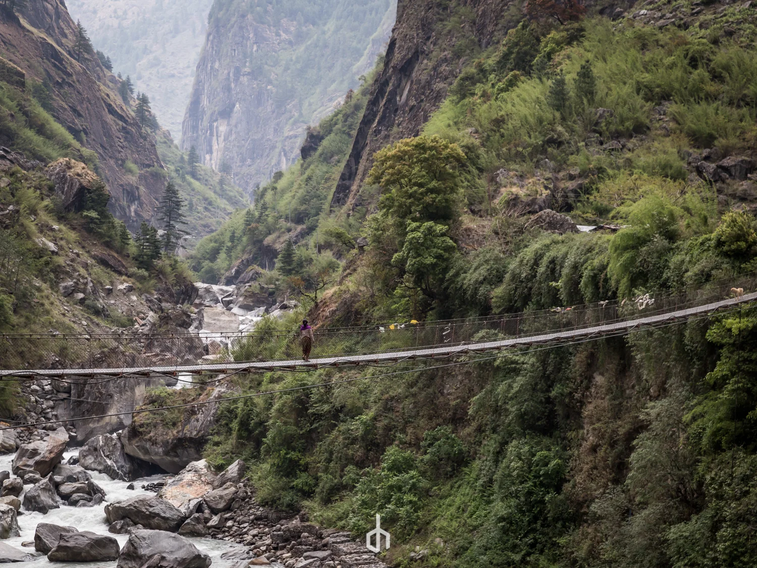 A person walking across a suspension bridge high above a river in a mountain valley surrounded by lush green trees and steep rocky cliffs.