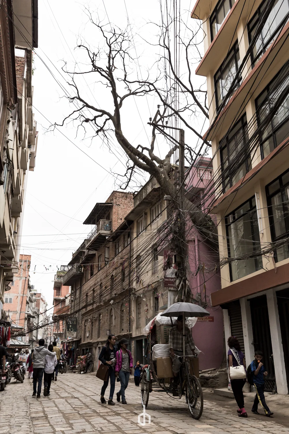 Urban street scene with pedestrians, a cyclist with an umbrella, and a large leafless tree against a cloudy sky. Multi-story buildings surround the street.
