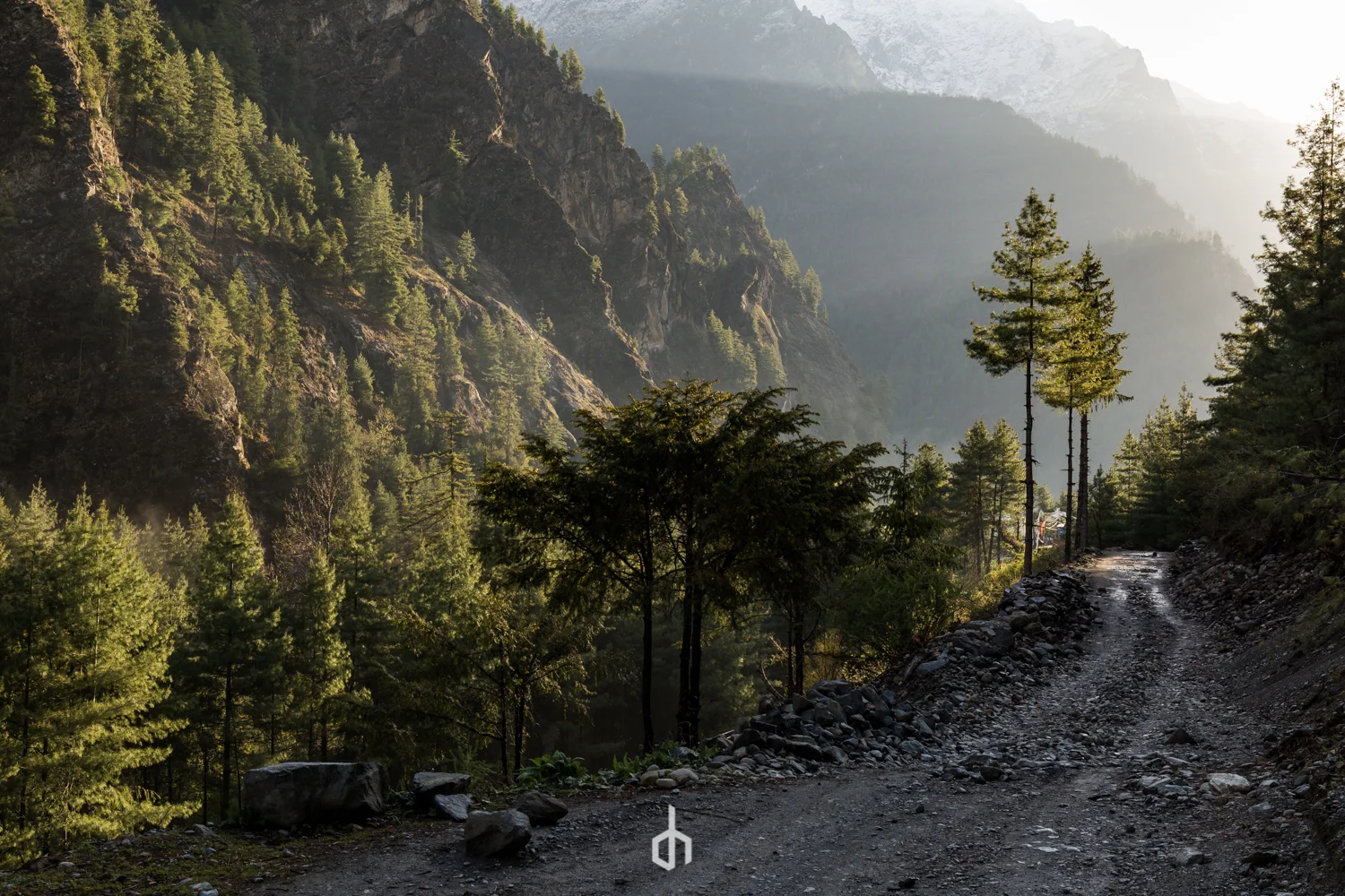 A rugged dirt road winding through a forested mountain landscape, with tall pine trees and misty mountain peaks in the background.