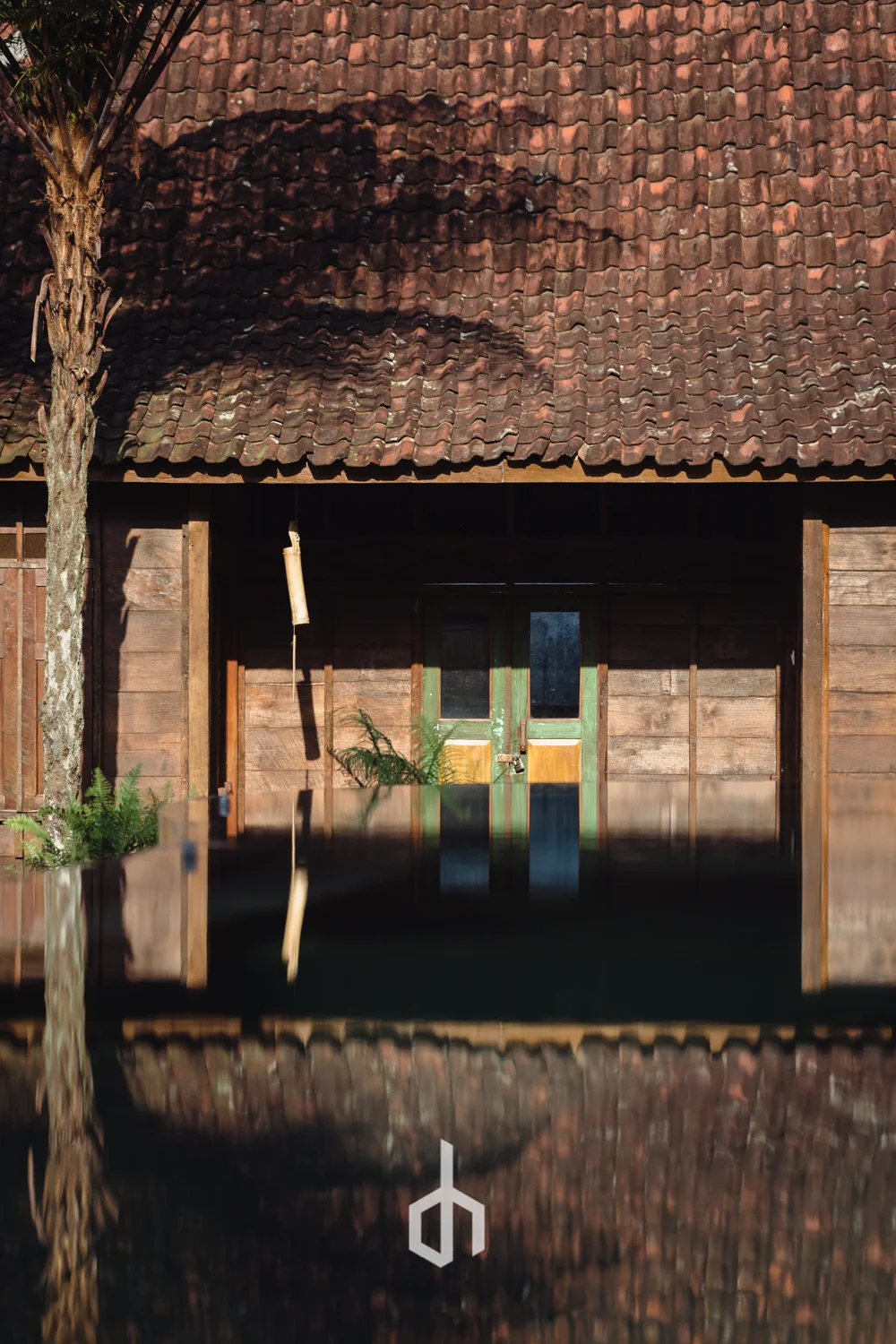 Close-up of an old wooden house with a tiled roof, green door with glass panels, and a shadow cast by a tree on the roof.