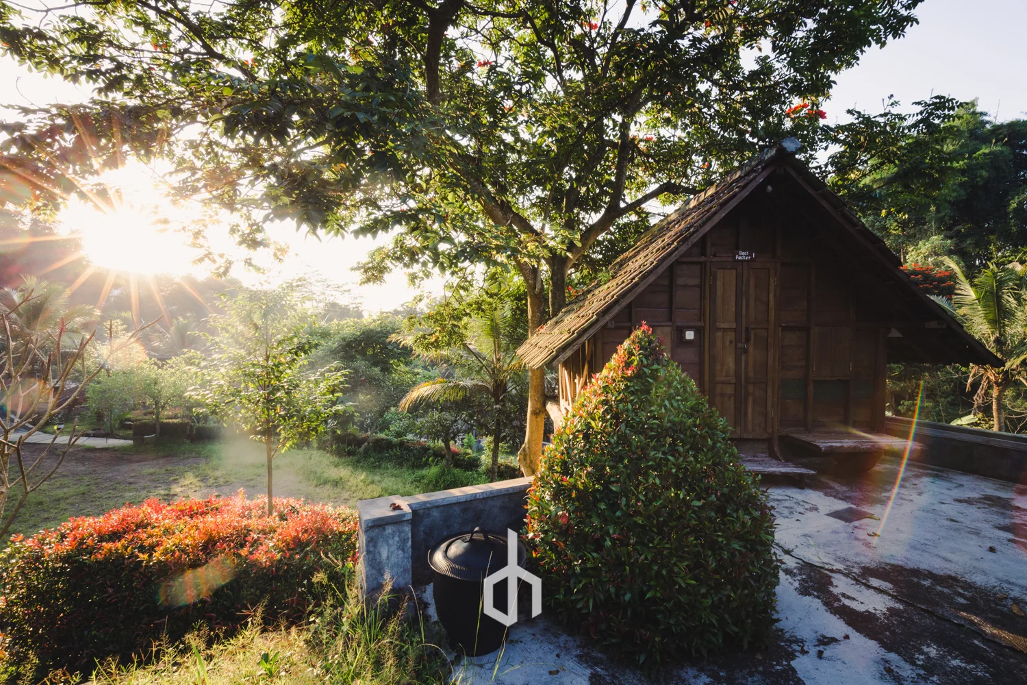 Sunlight filters through a large tree next to a small wooden cabin with a steep roof. The scene includes various green plants and trees, and a concrete path with some wet areas. A black compost bin is placed next to a bush in the foreground.