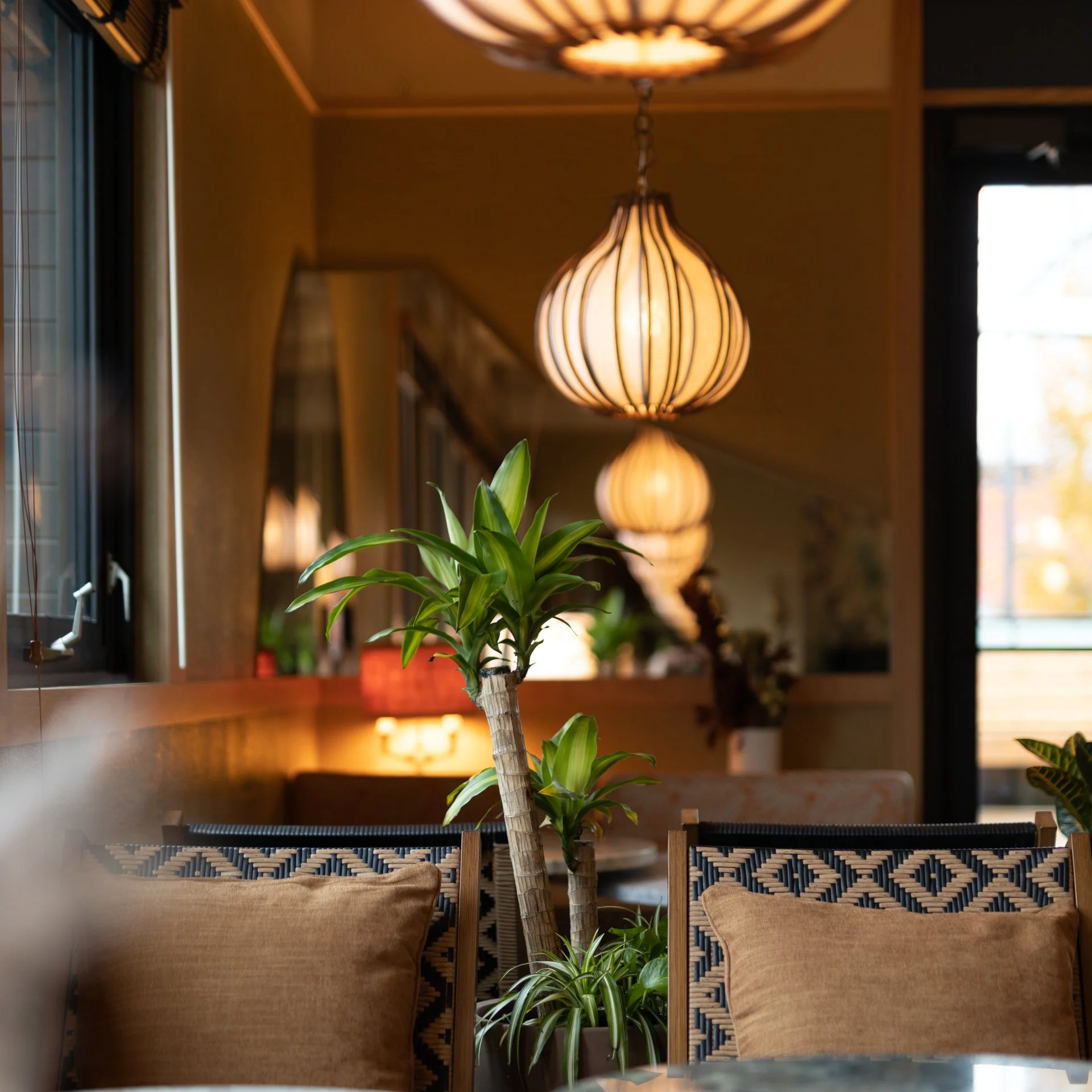 Indoor scene with hanging pendant lights, green plants, wooden furniture, and a window with blinds, creating a cozy and stylish ambiance.
