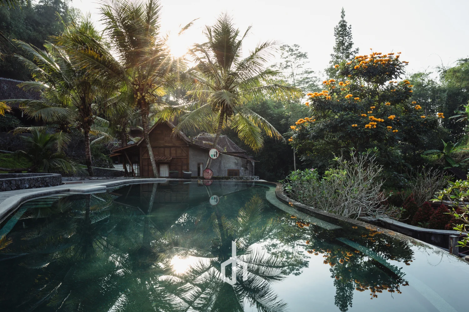 A tropical scene with a swimming pool reflecting trees and a bright sun, surrounded by lush green plants and a small wooden house.