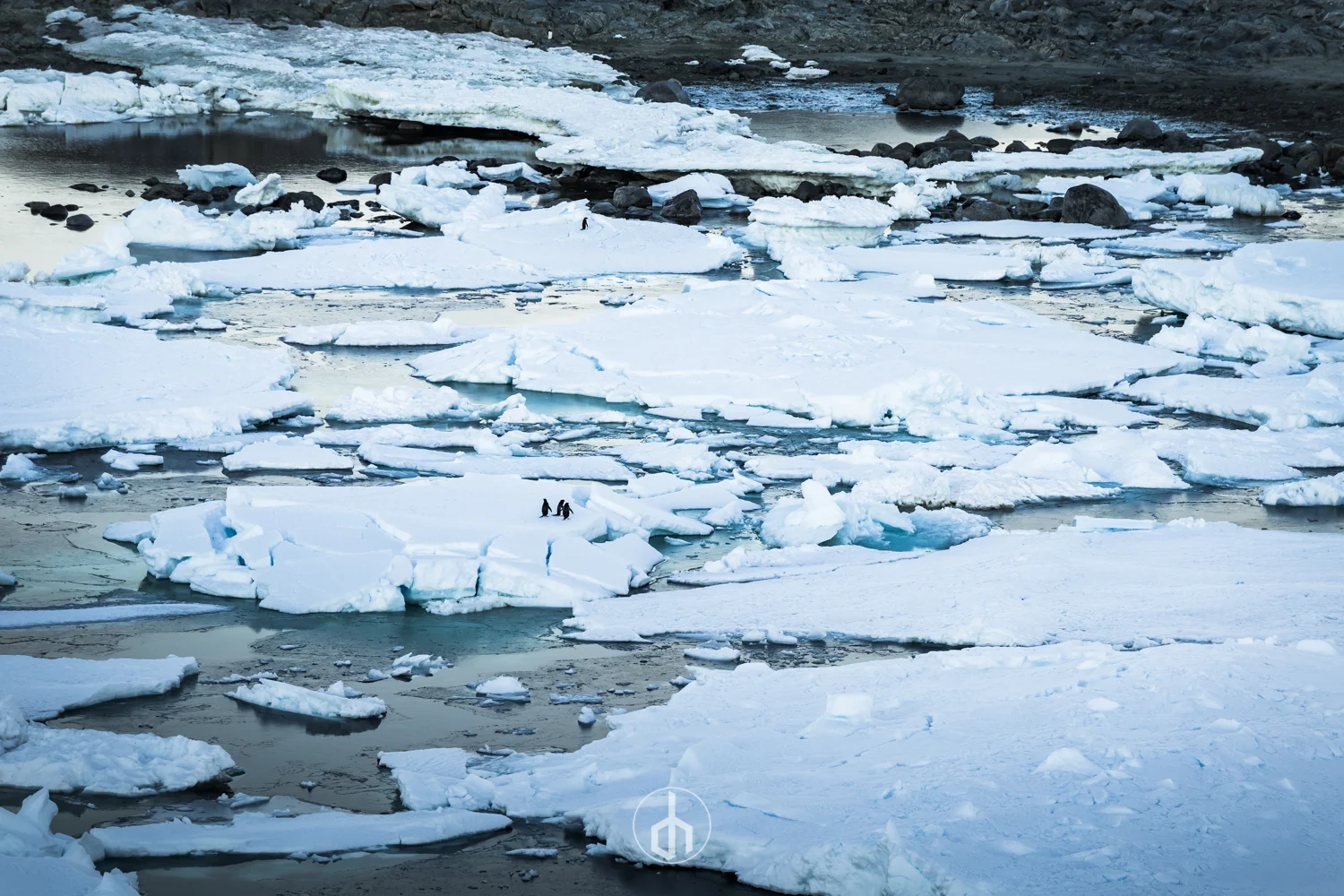 Iceberg and ice floes floating in Arctic waters with two people standing on an ice patch, mountains in the background.