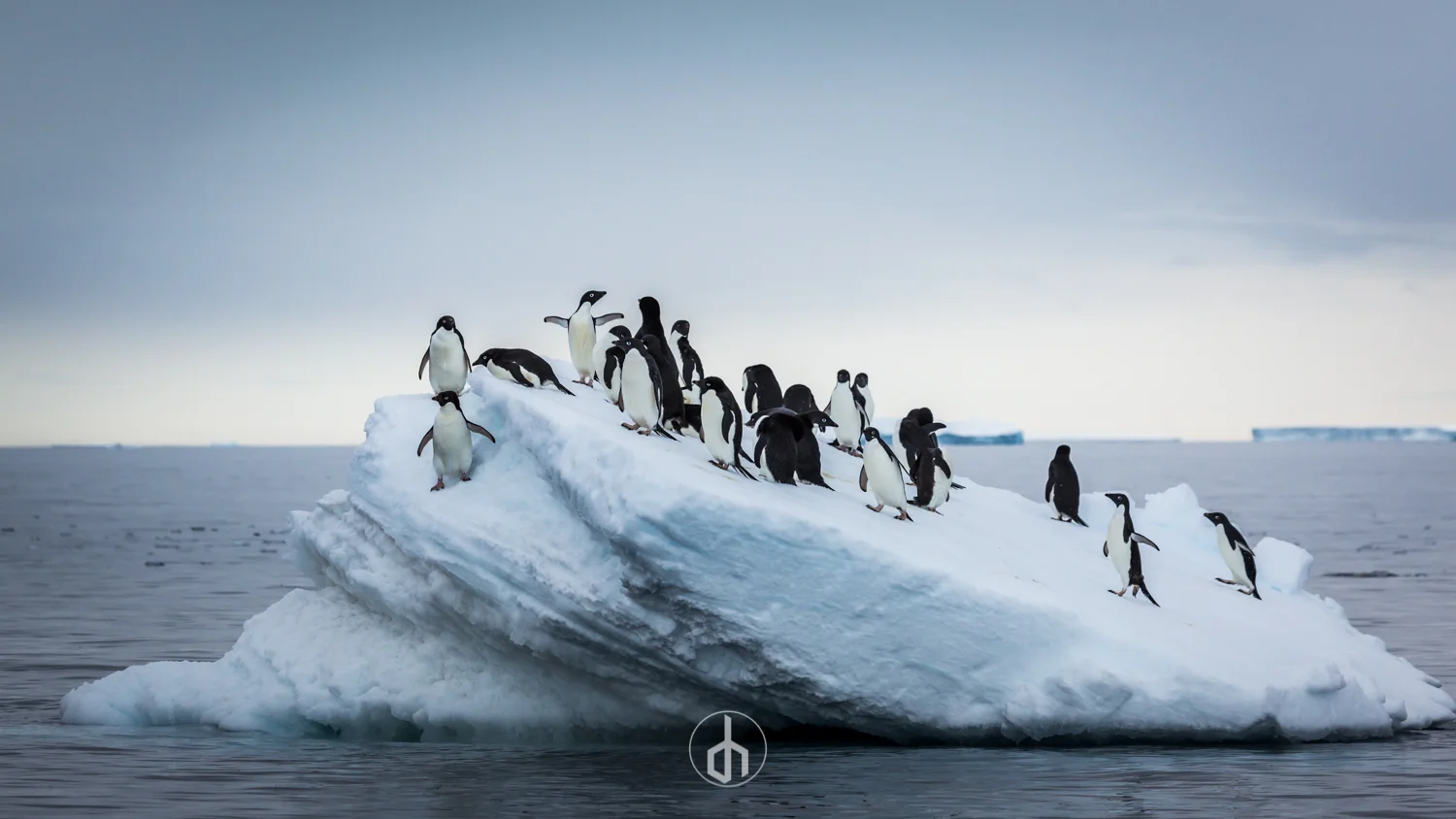 A group of penguins standing on a large iceberg floating in the ocean with a cloudy sky in the background.