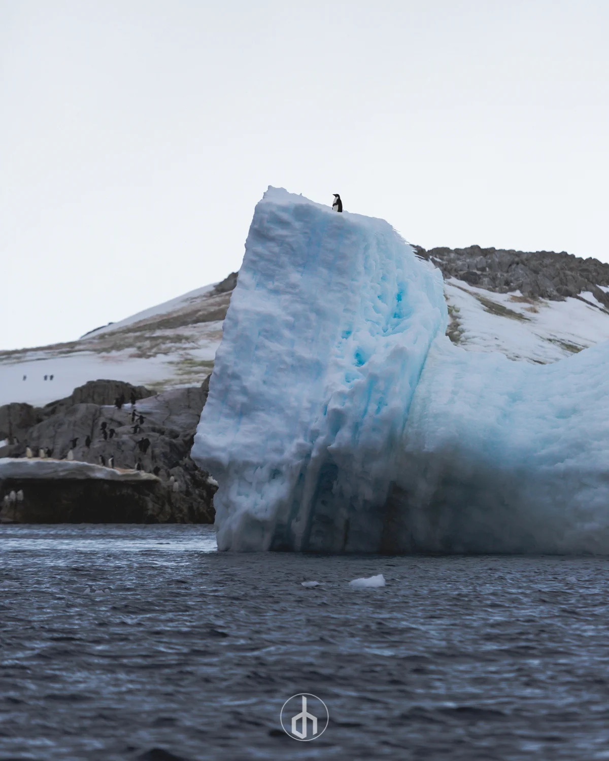 A large iceberg floating in the ocean with a penguin standing on top, and a glacier with penguins on the shore in the background.