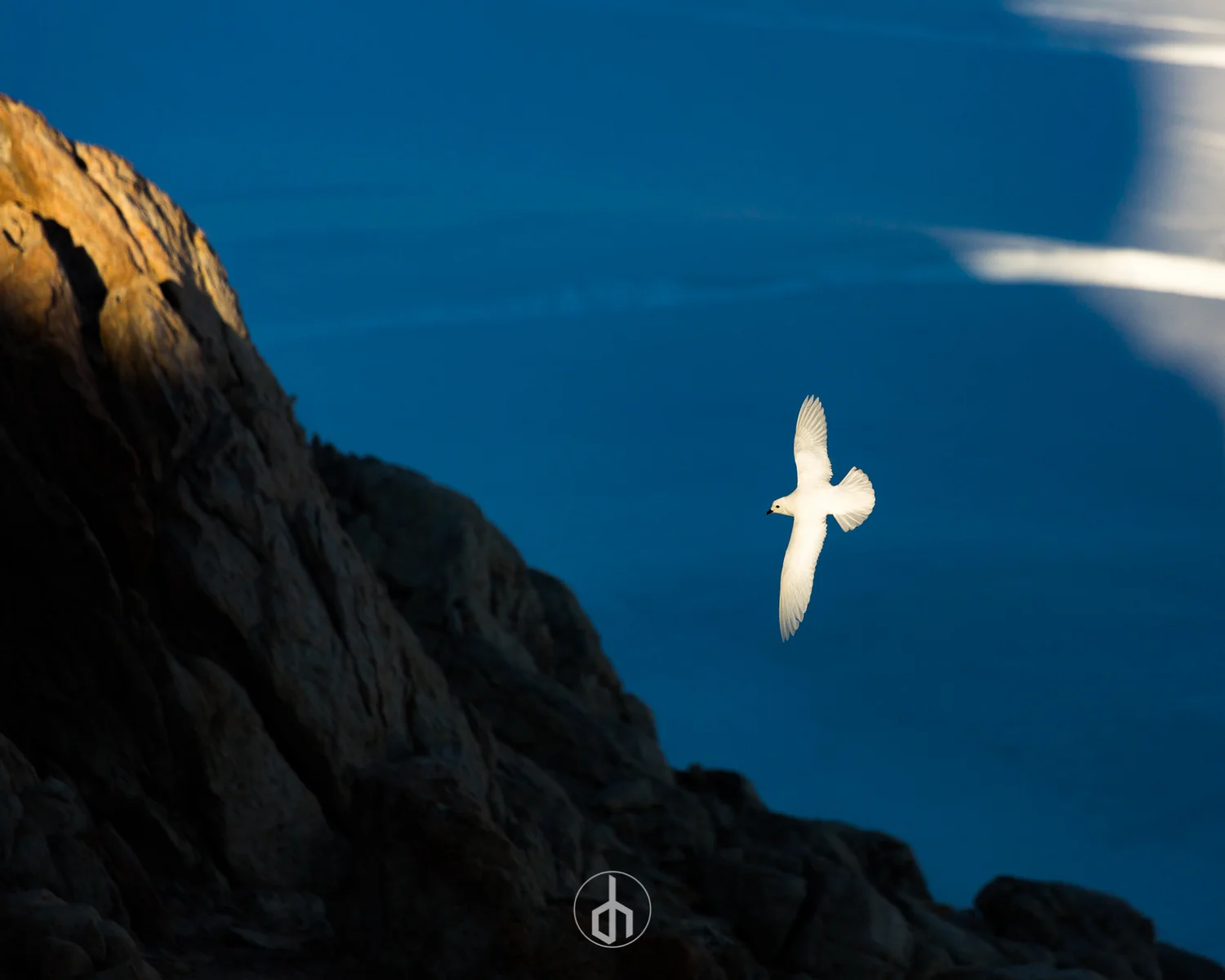 A seagull flying past a rocky cliff against a deep blue sky with some white clouds.