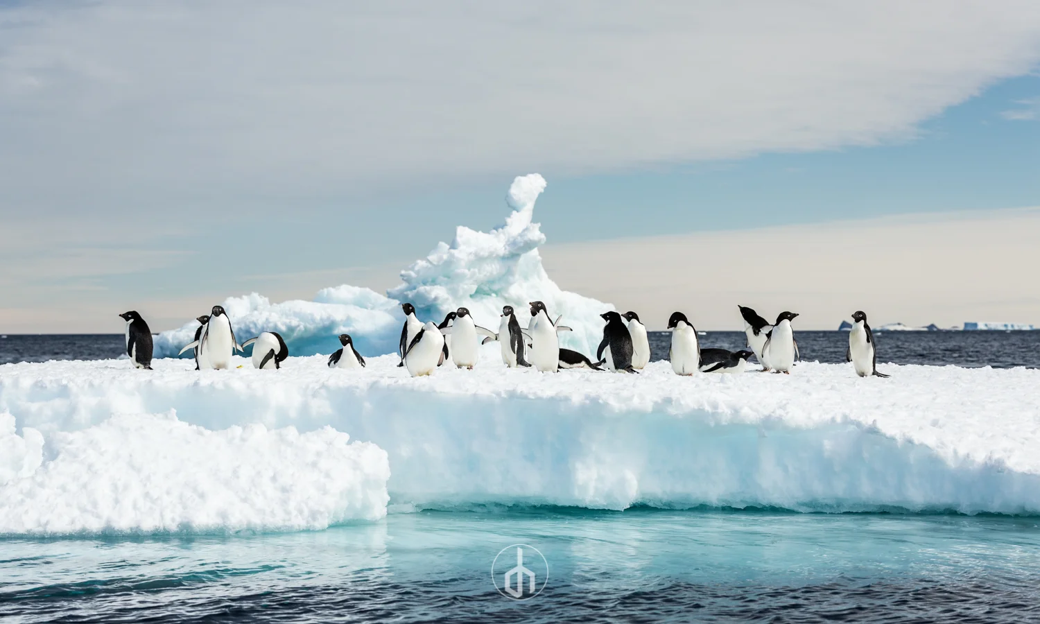 Group of penguins on ice near the ocean with a distant iceberg.