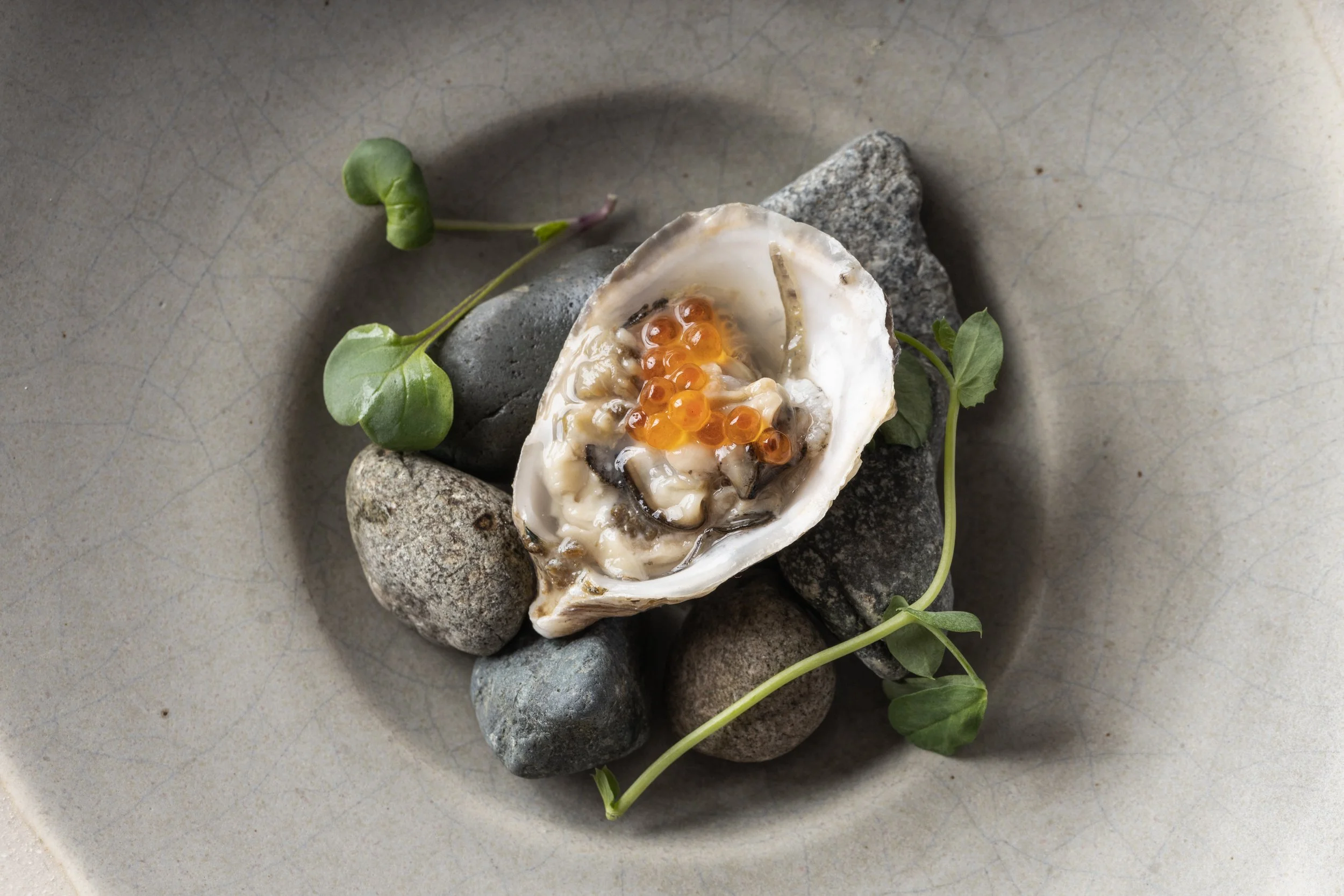A shell with orange pearls inside, resting on dark gray rocks, surrounded by green plant leaves.
