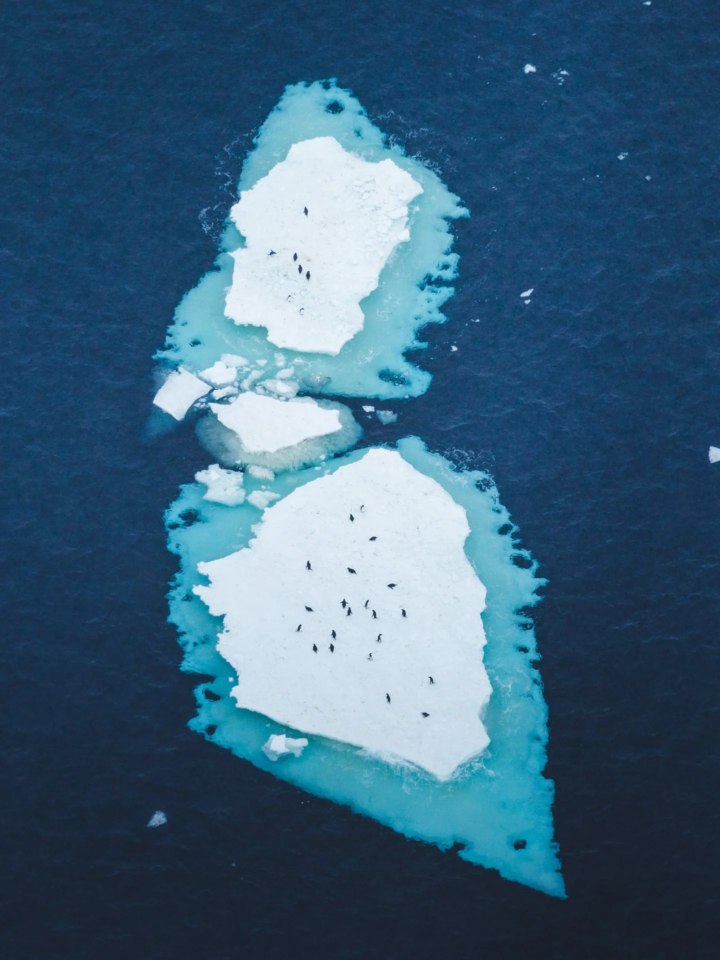 An aerial view of an iceberg floating in the ocean, with small penguins on its surface.