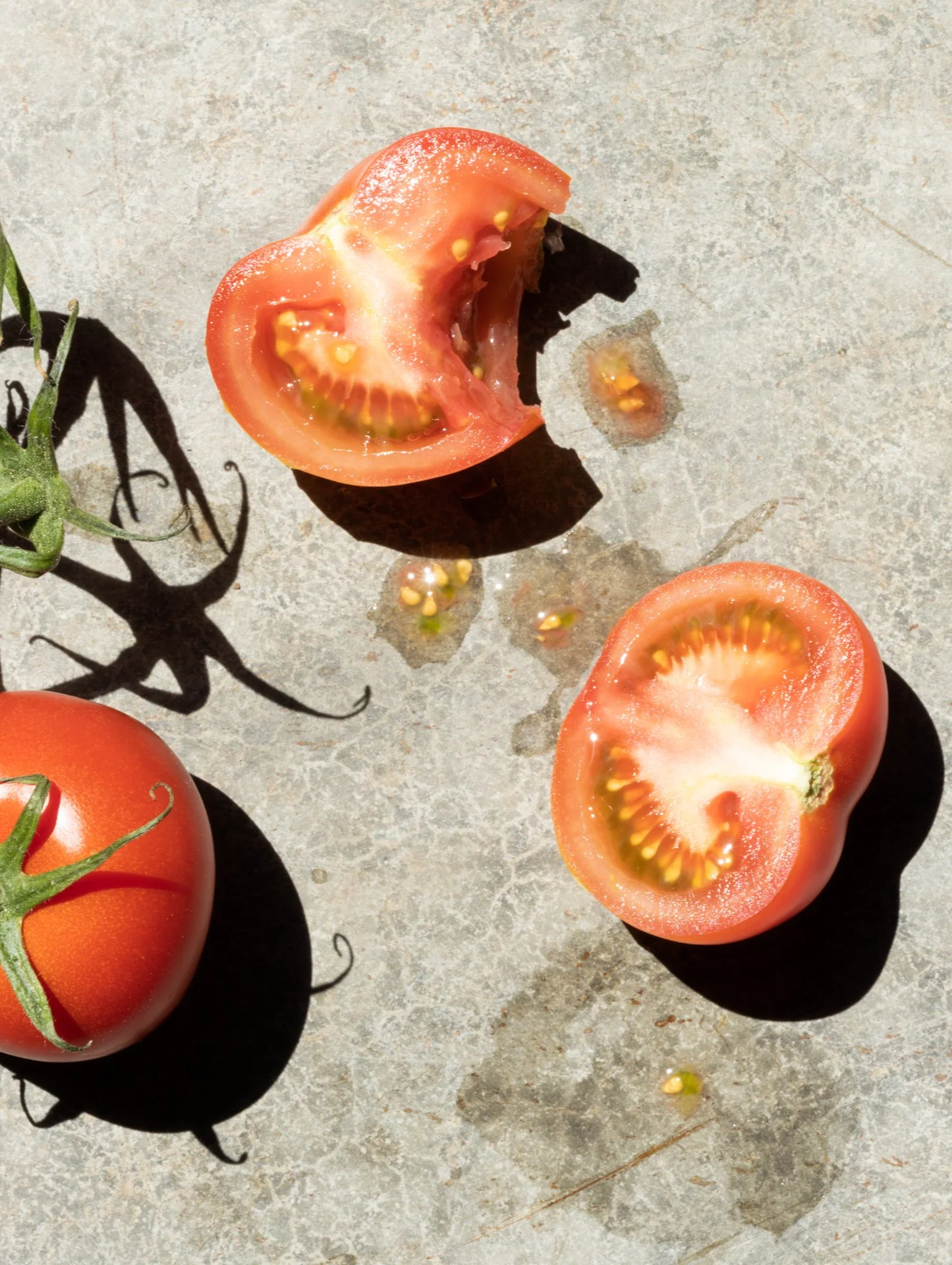 Freshly sliced and whole tomatoes on a gray surface, with bright natural sunlight casting shadows.