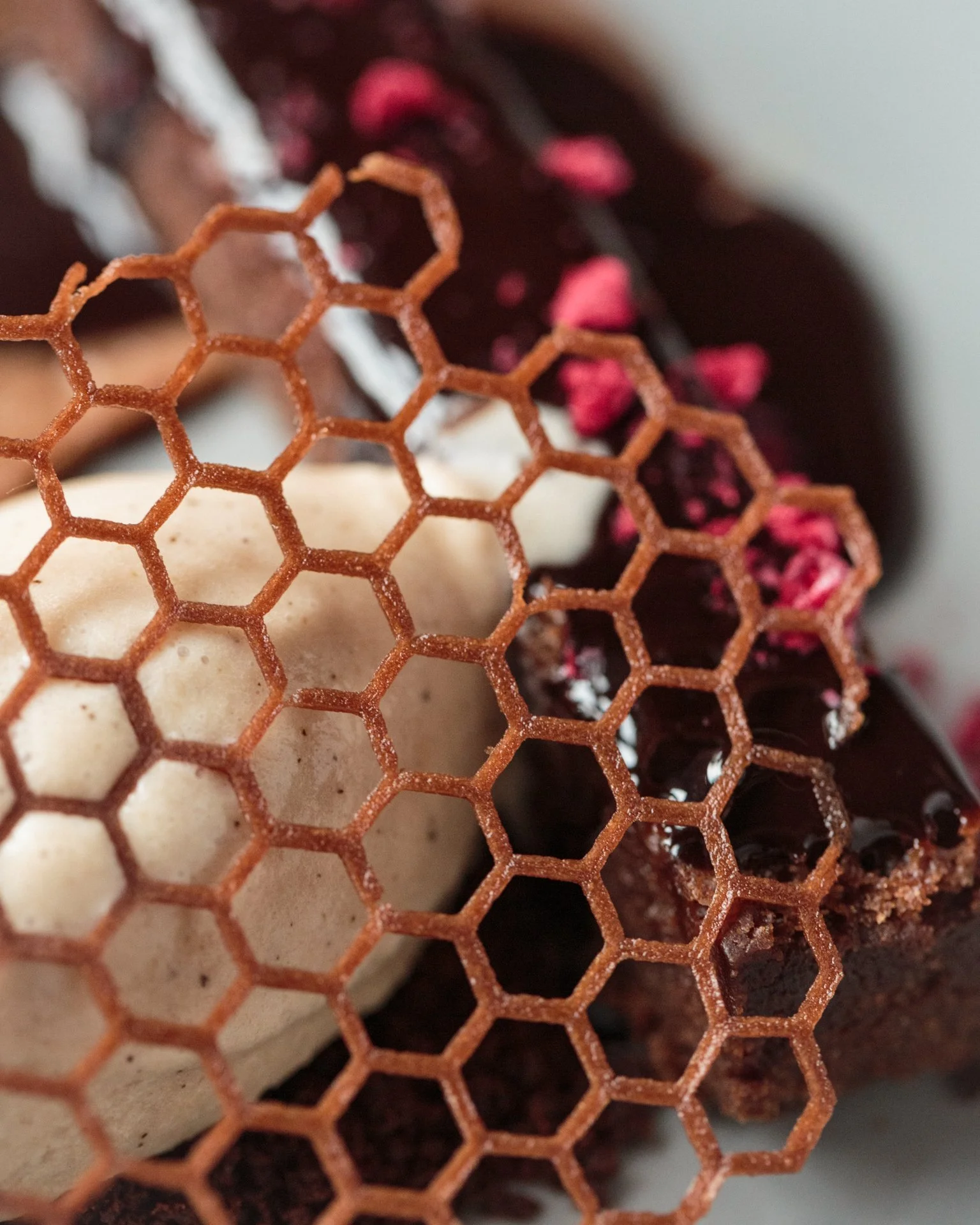 Close-up of a honeycomb structure with some wax and dark purple, almost black, honey or jam inside it.