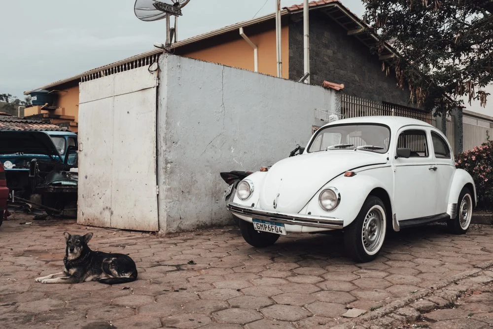 A vintage white Volkswagen Beetle parked on a brick driveway next to a small dog lying on the ground, with an old, partially disassembled vehicle and a gray wall in the background.