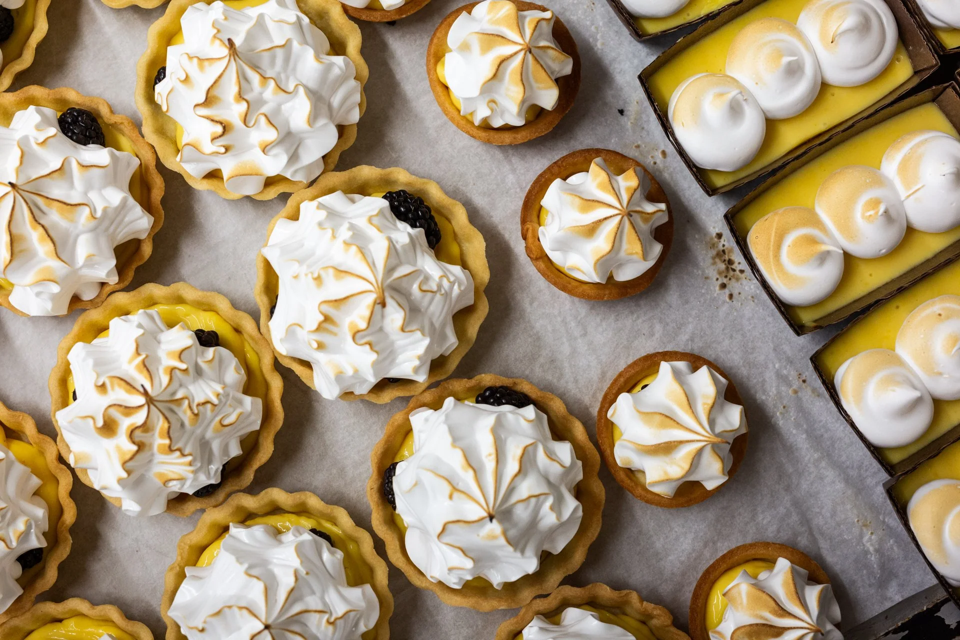 Assorted lemon tarts with meringue topping and chocolate tartlets with lemon curd and piped meringue