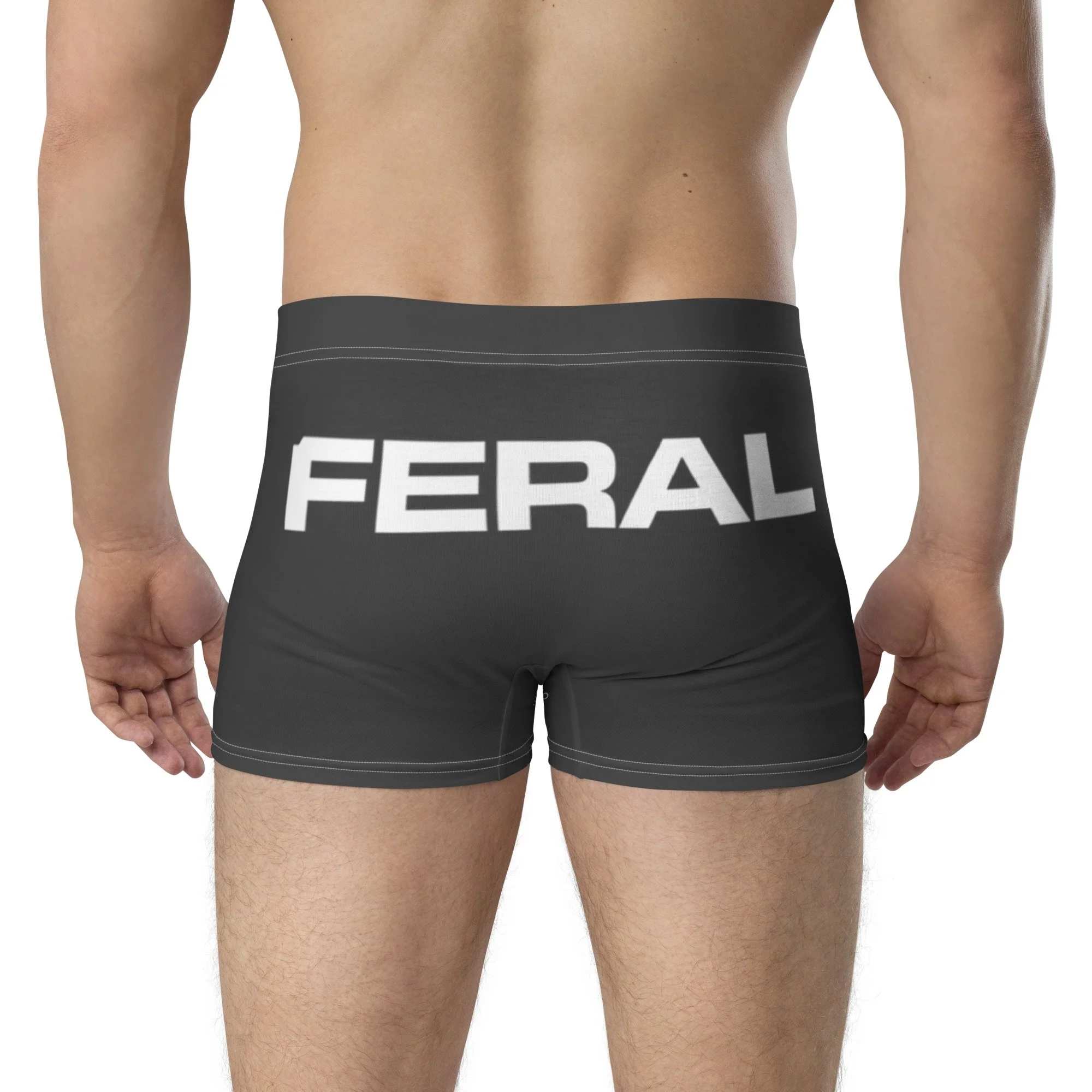 all-over-print-boxer-briefs-white-back-6aaf305686044.jpg