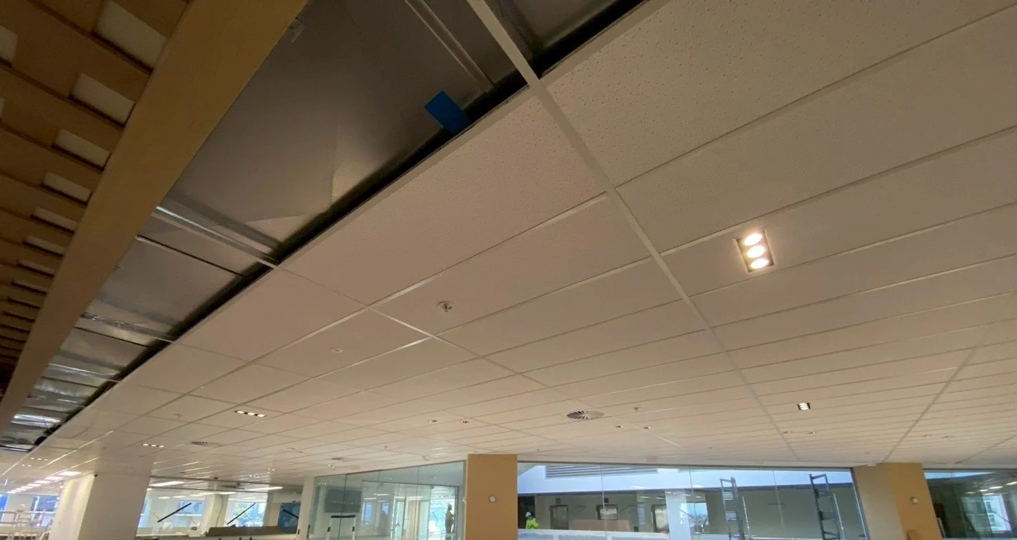 Interior view of a modern commercial building ceiling with suspended ceiling tiles, some exposed metal framework, and recessed lighting. Large windows at the lower part of the image let in natural light.