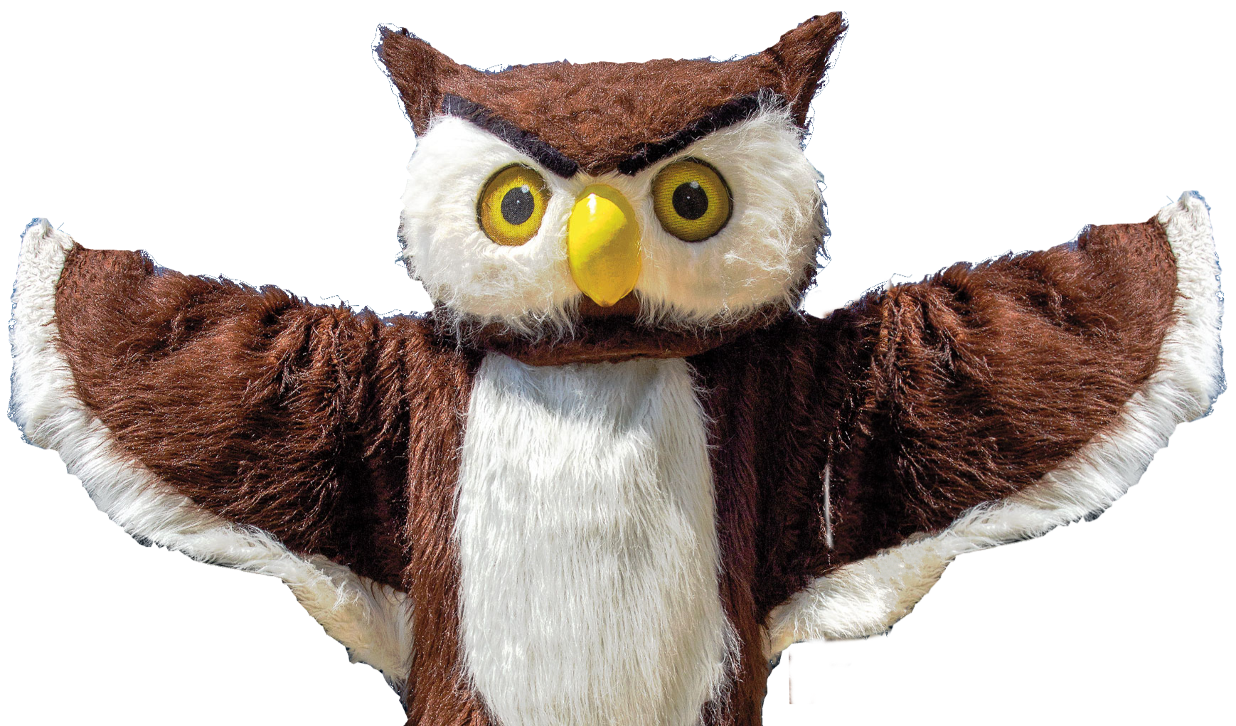 A person wearing an owl costume with wide open arms, featuring brown and white feathers, large yellow eyes, and a yellow beak.