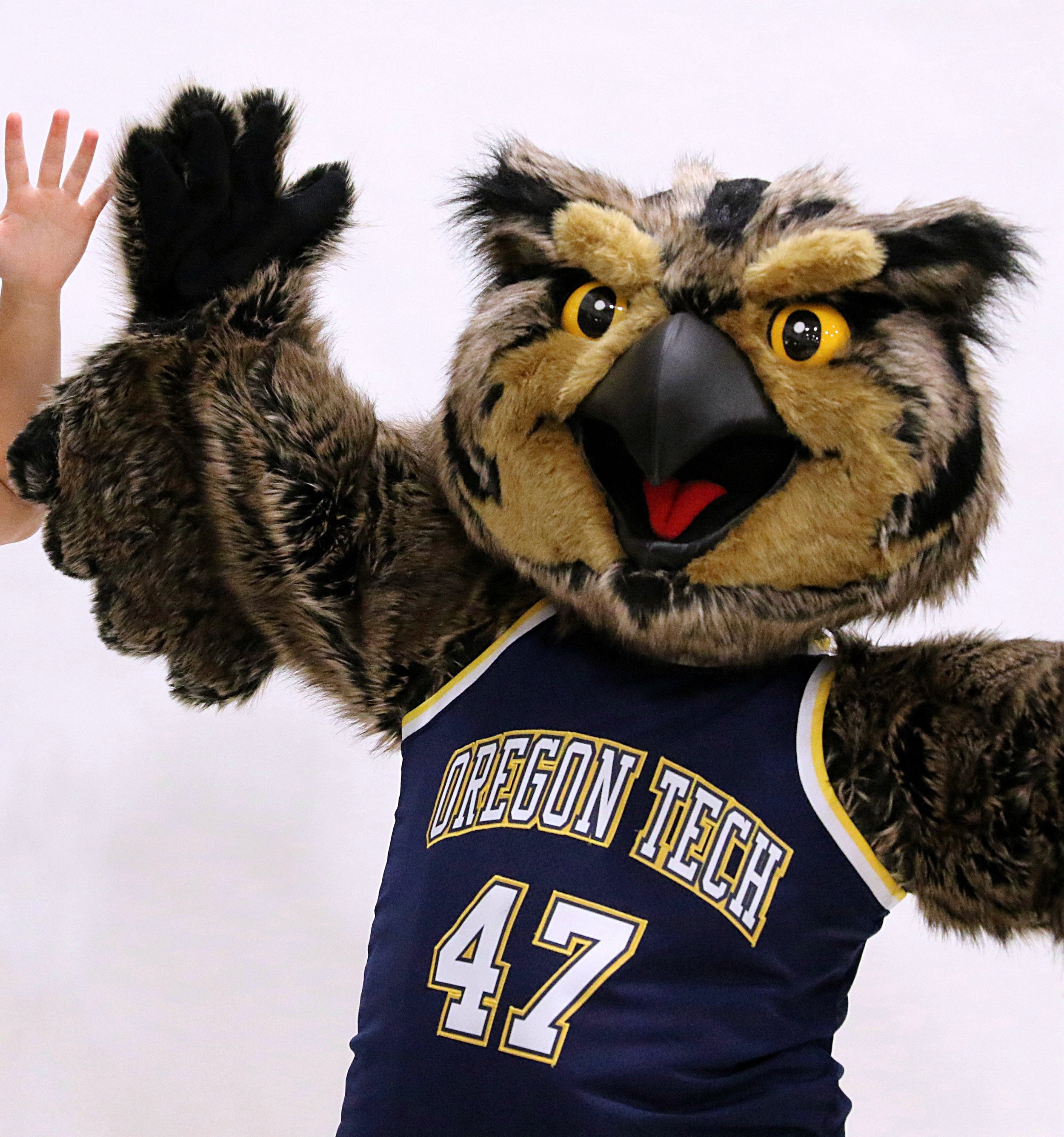 A person in a mascot costume of Hootie the Hustlin' Owl, wearing a dark blue Oregon Tech jersey with the number 42, waving and standing against a plain white background.