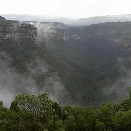 Vista de un cañón con vegetación y niebla, probablemente en una zona montañosa.