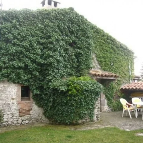 Pared de una casa con musgo y enredaderas, con una pequeña ventana y área de descanso con sillas amarillas y mesa en el exterior.