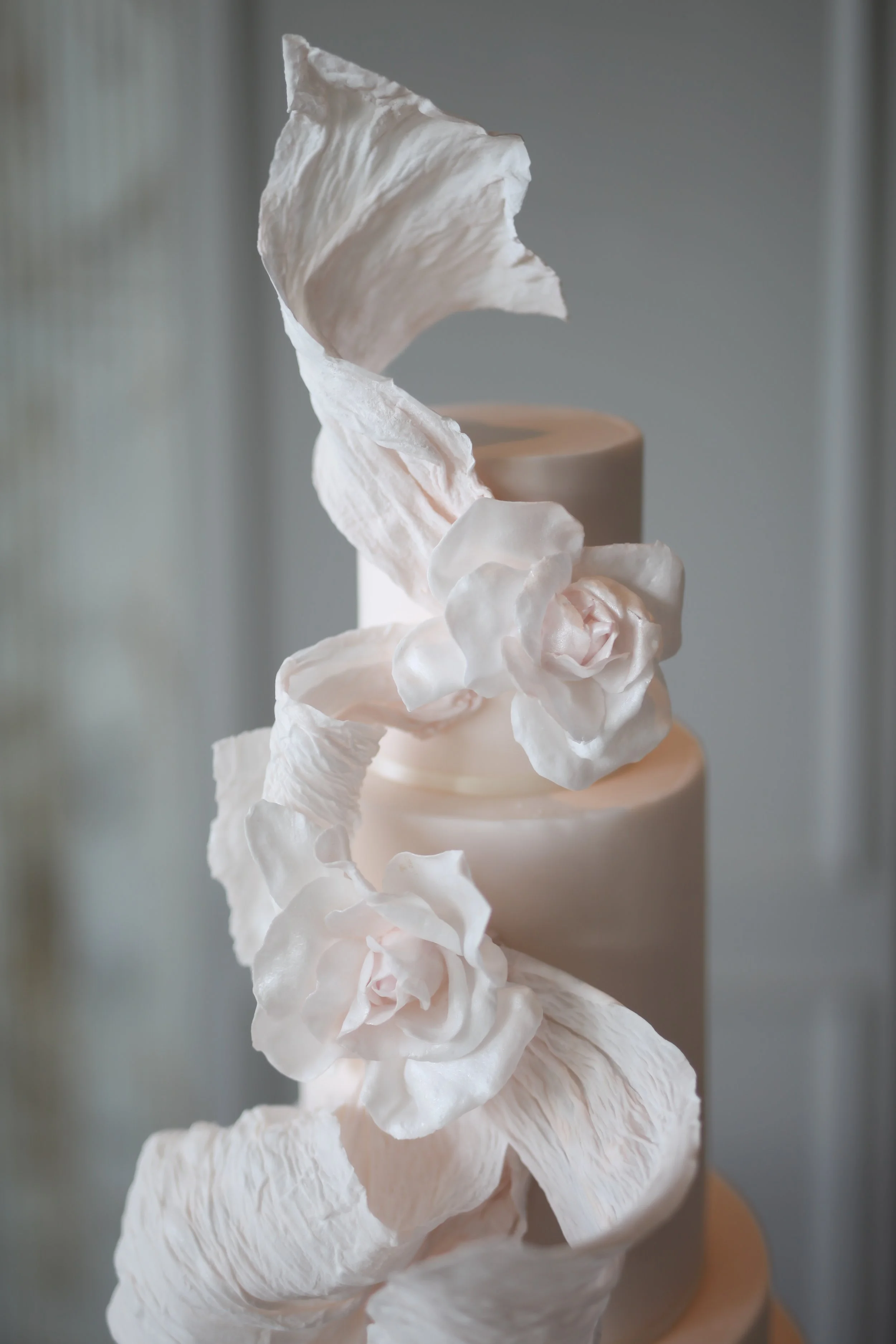 IMG_6406.jpg
