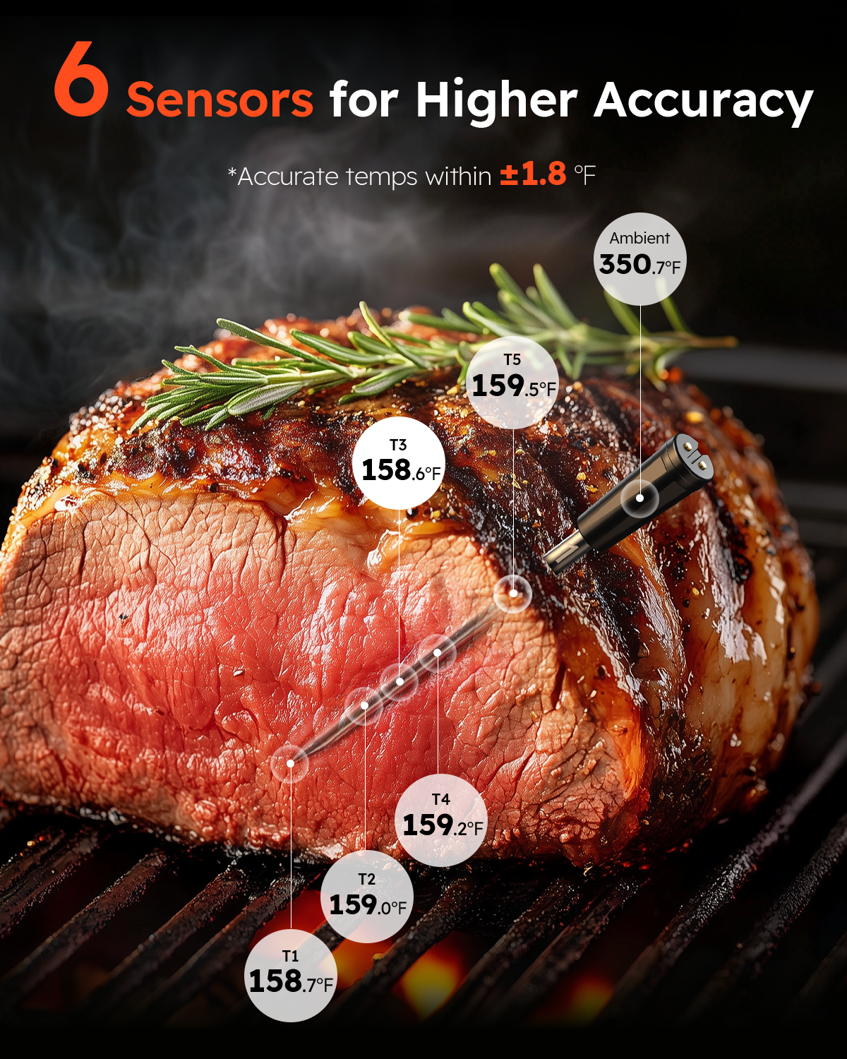 bluetooth meat thermometer.png