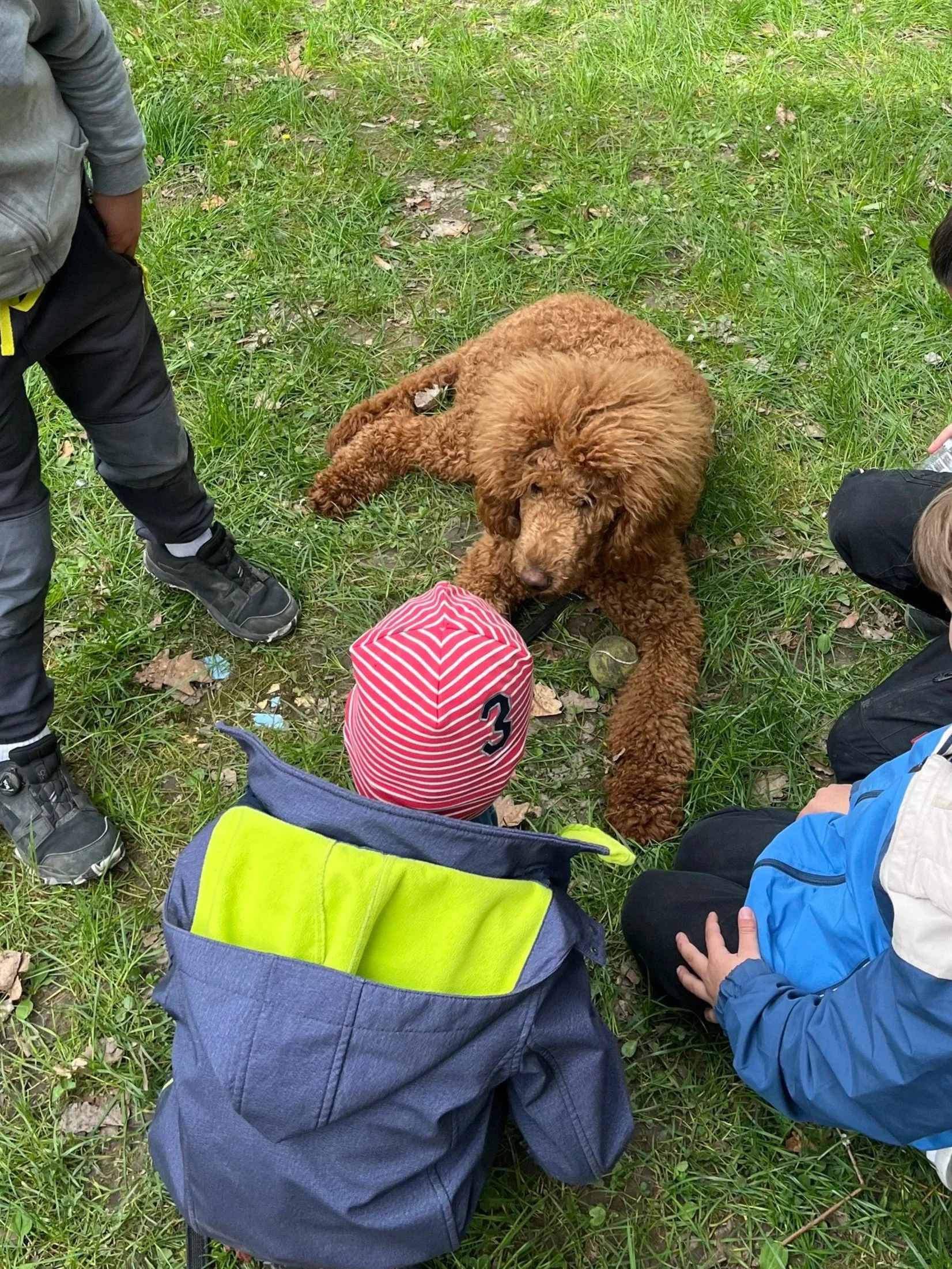 Kinder und ein Hund, der auf dem grünen Gras sitzt, während die Kinder um ihn herum sitzen oder knien. Es sieht nach einem Außenaktivität oder einem Picknick aus.