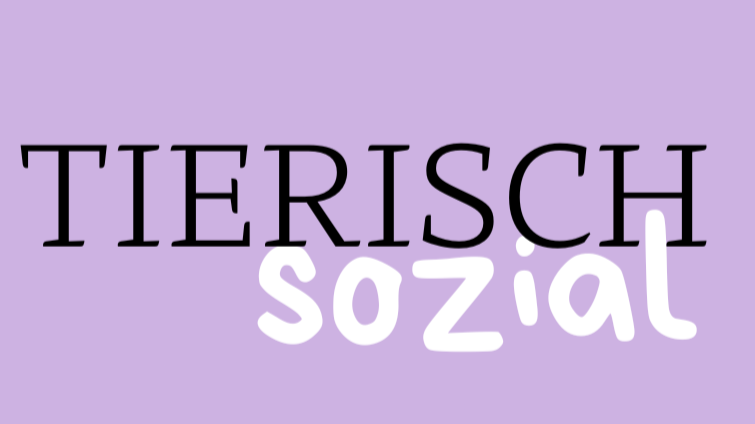 Text mit der Aufschrift "Tierisch sozial" auf lila Hintergrund.
