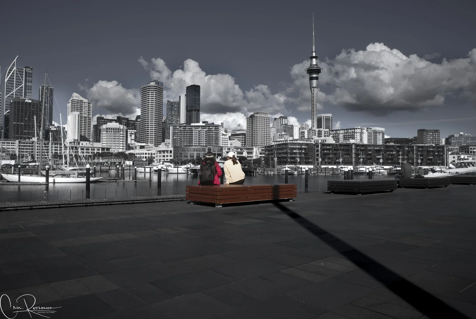 Skyline of Auckland NZ