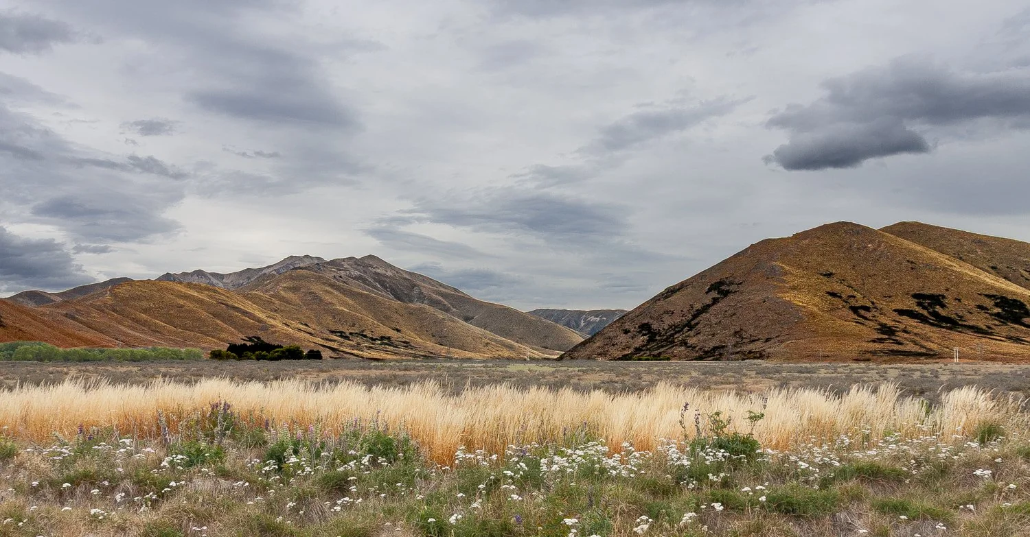 Central plateau in NZ