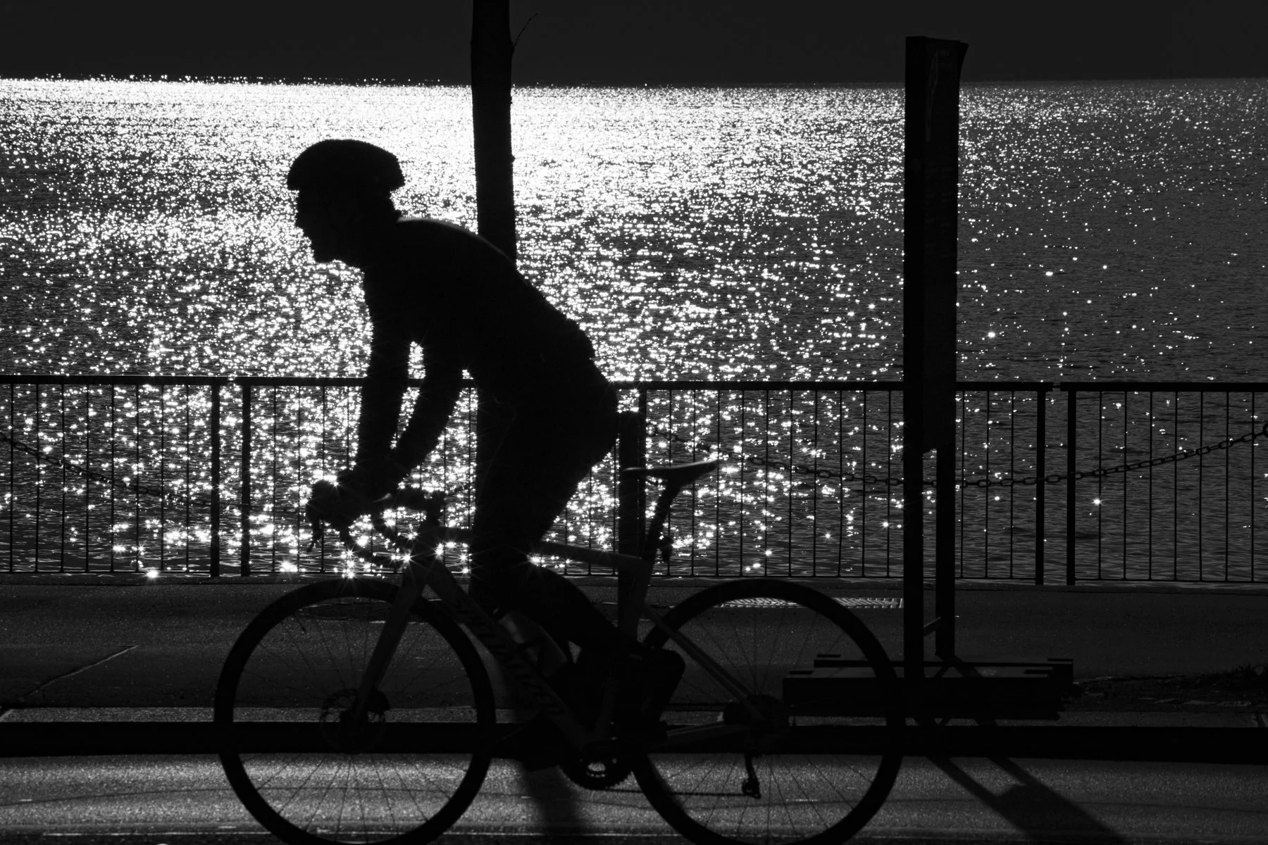 The Black & White - Monochrome Project