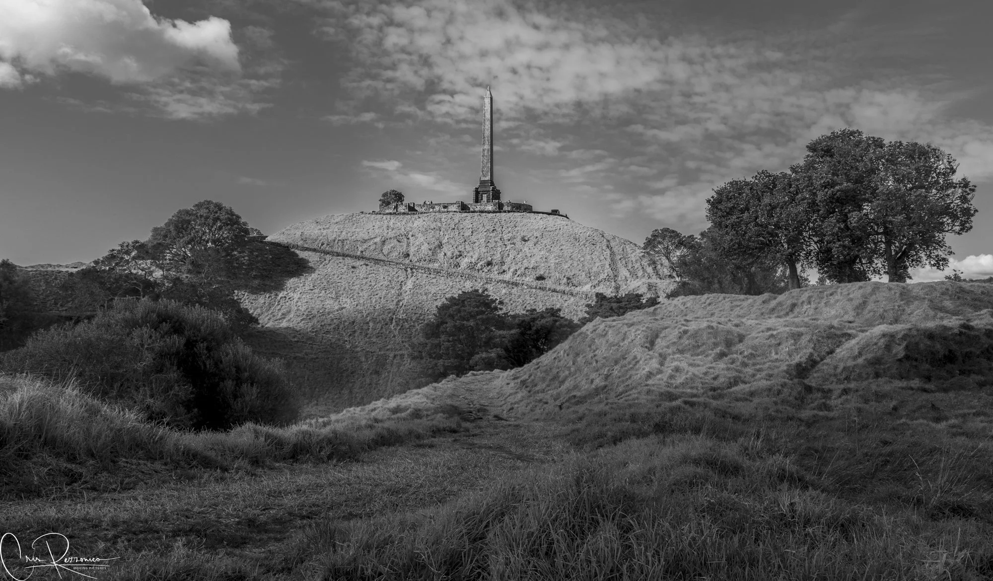 One Tree Hill 