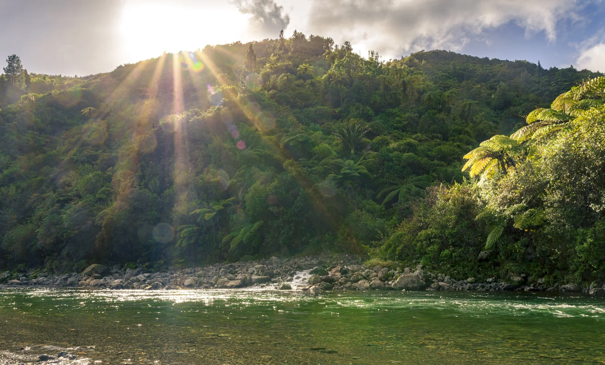 Otaki Gorge, NZ