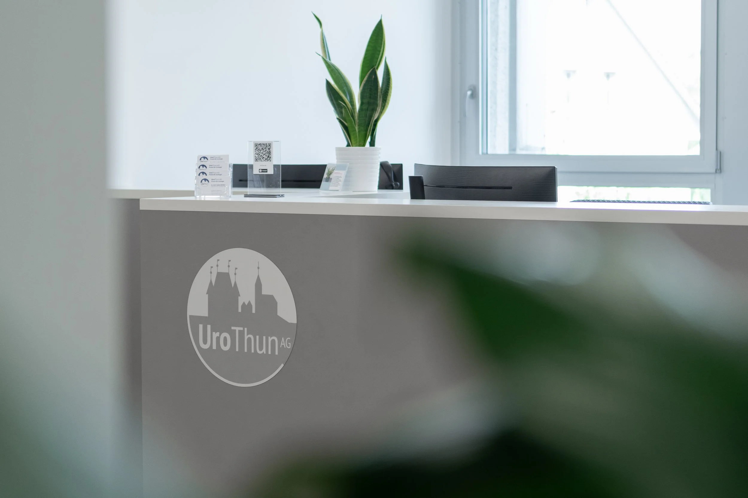 Ein Empfangstresen mit einem großen grünen Pflanze in einem weißen Top, QR-Codes und Informationsmaterial. Im Hintergrund ist ein Fenster sichtbar.