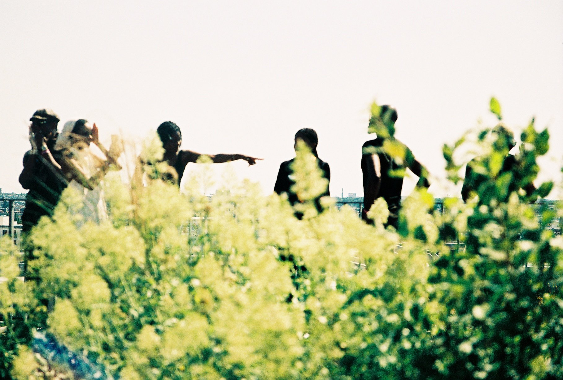 Group of people gathered outdoors, some are sitting and one person is pointing, with green plants in the foreground and a mostly clear sky in the background.