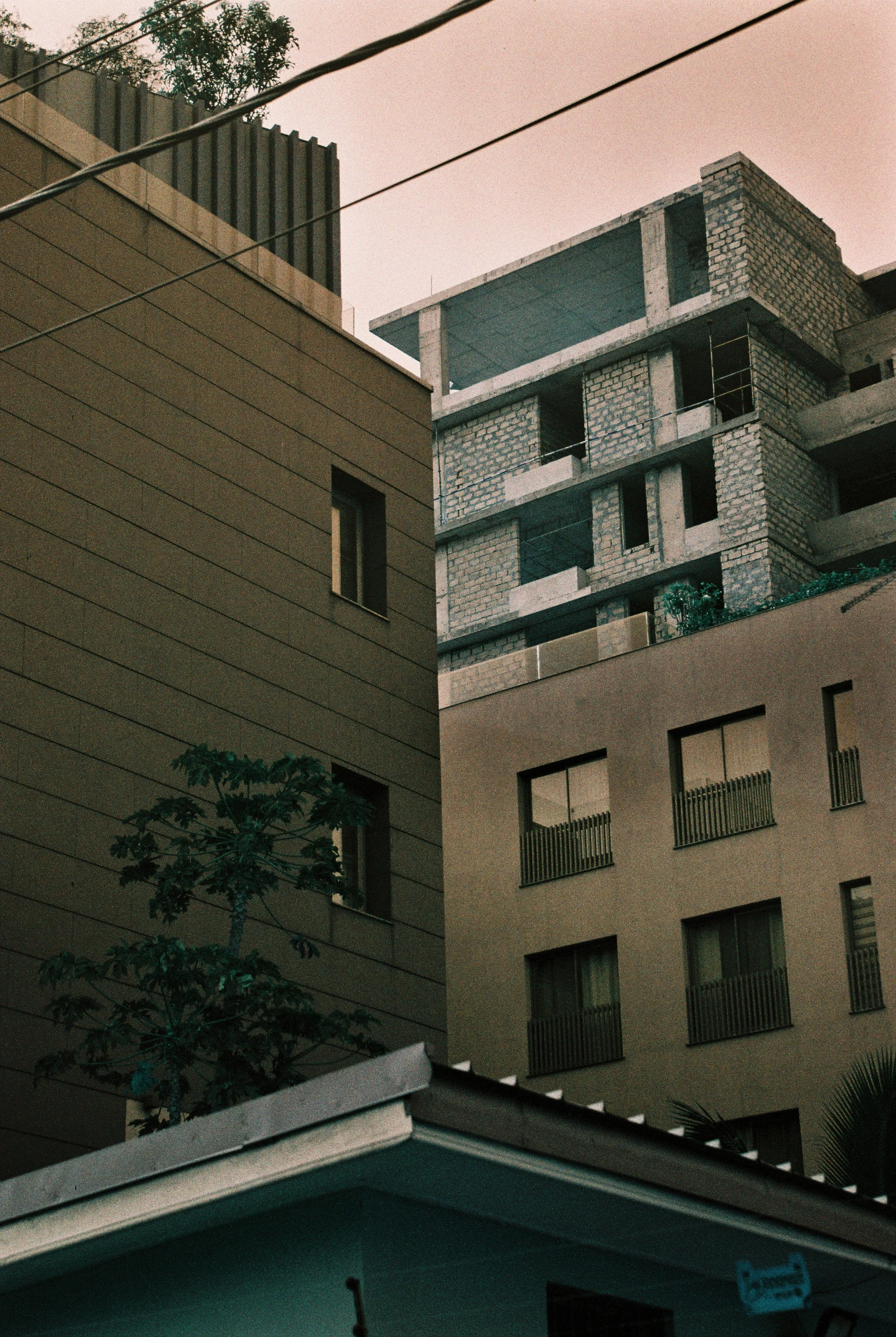 Photo of two buildings with a tree in the foreground. The building on the left is beige with horizontal siding and a small window. The building on the right is under construction, with exposed brick and concrete, scaffolding, and openings for windows or balconies. The sky is pinkish, indicating early evening or sunset.