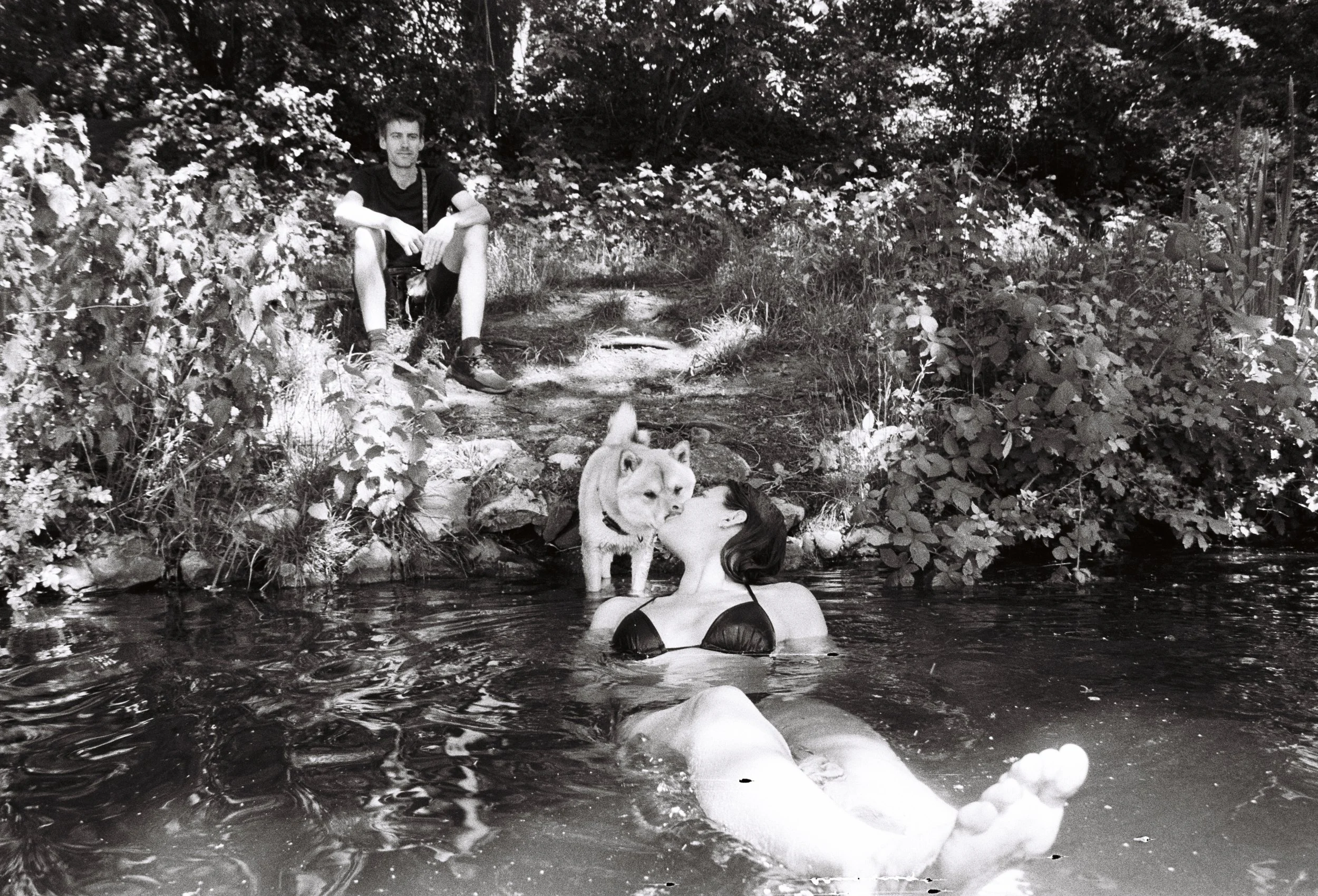 A person is floating in a body of water, with a dog standing on the rocks near the shore. A man is sitting among bushes and trees in the background with another person sitting higher up and a dog on the rocks.