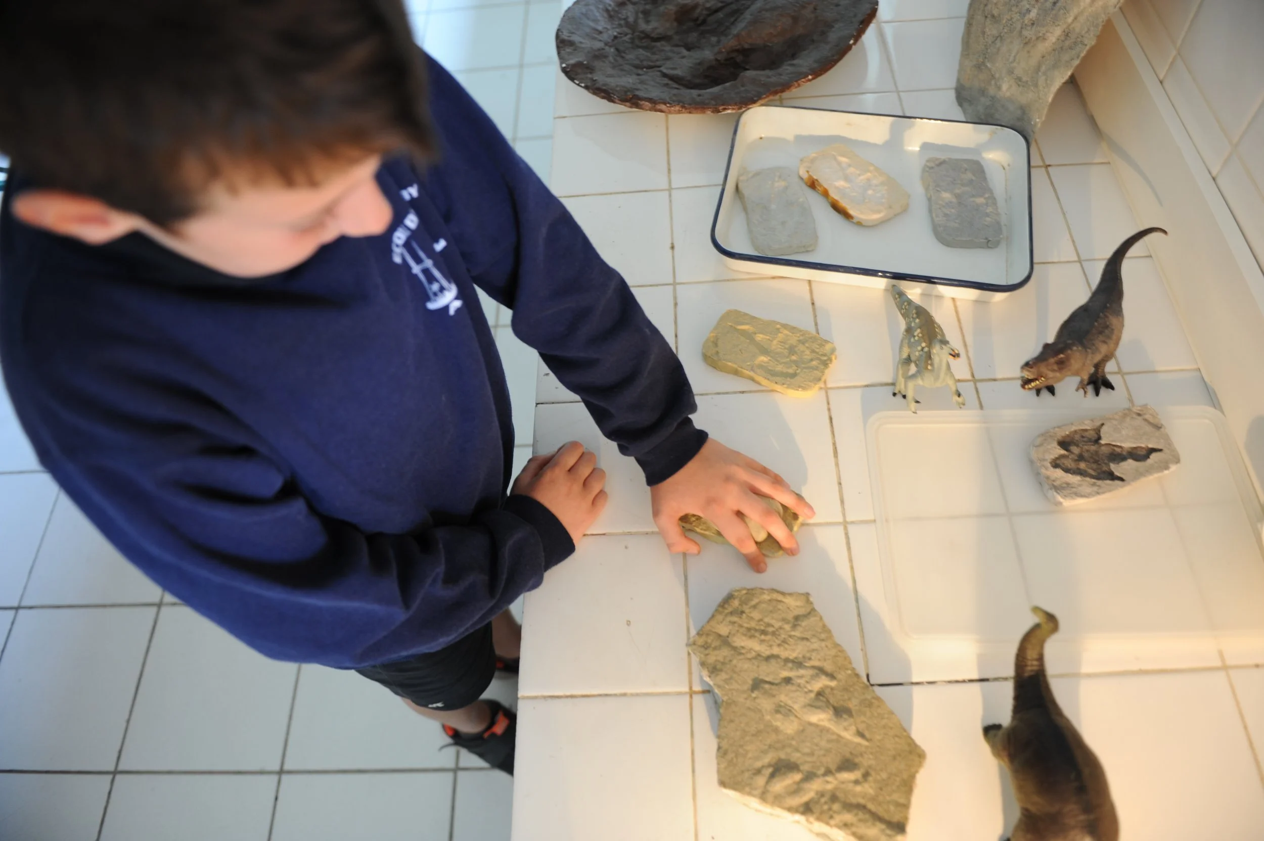 Un enfant examine des pierres et des figurines de dinosaures posées sur une table dans une pièce avec sol en carrelage blanc.