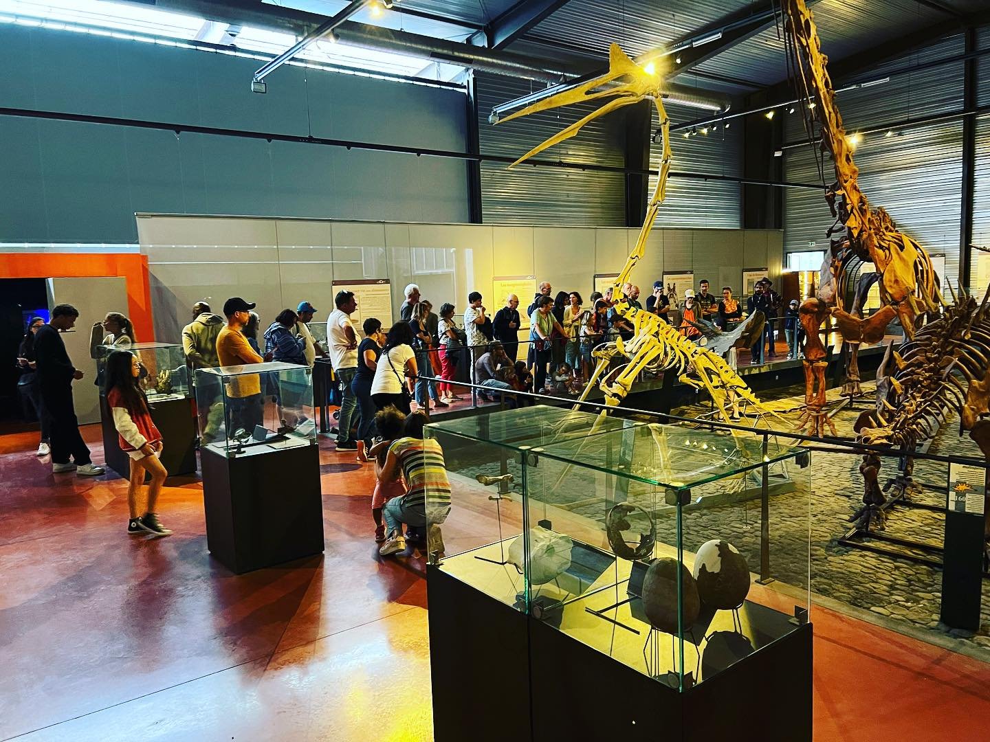 Salle d'exposition d'un musée avec des fossiles de dinosaures, dont un grand squelette de brachiosaure, et diverses autres reliques, avec plusieurs visiteurs.